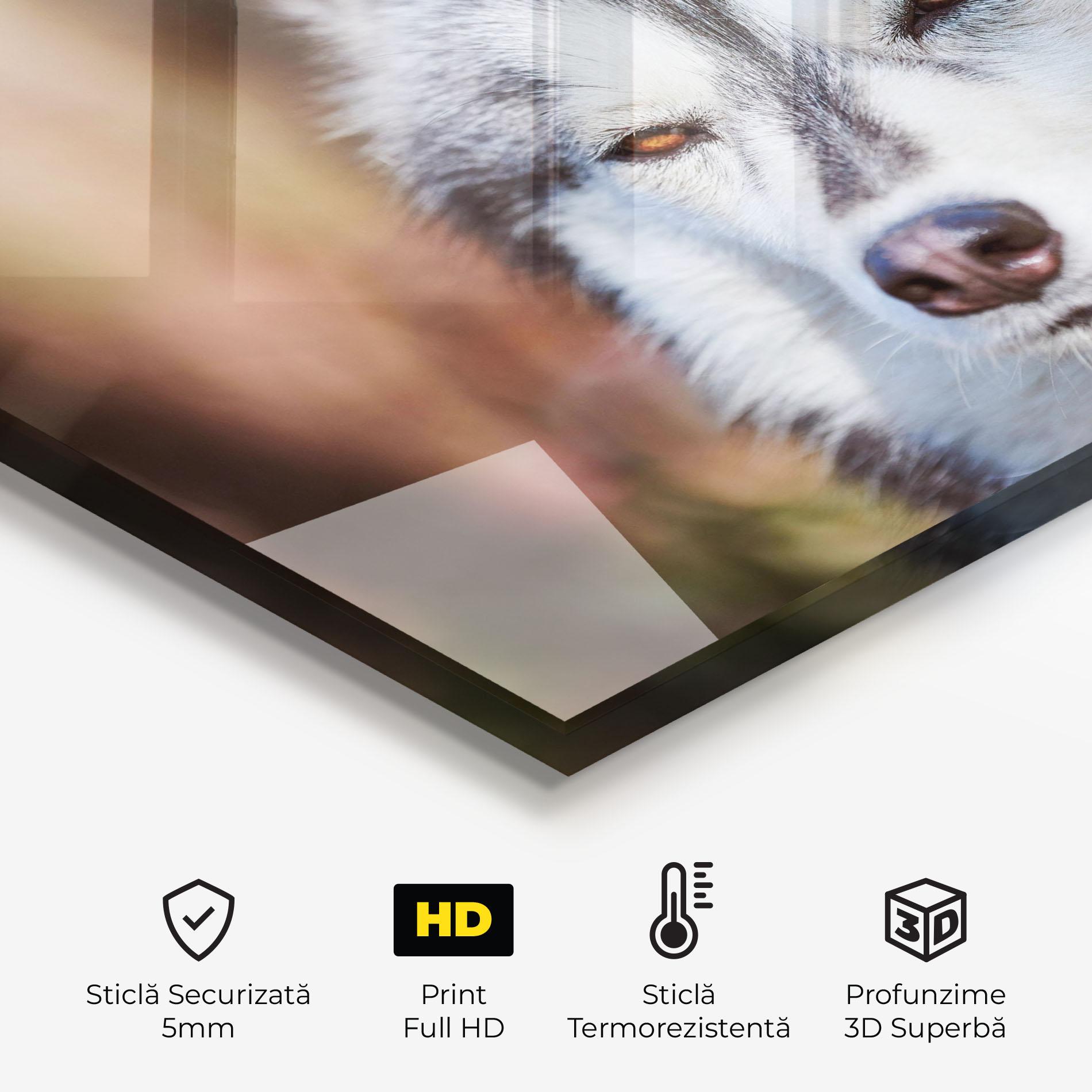 Panou Sticla Bucatarie Annoyed Wolf mockup 2