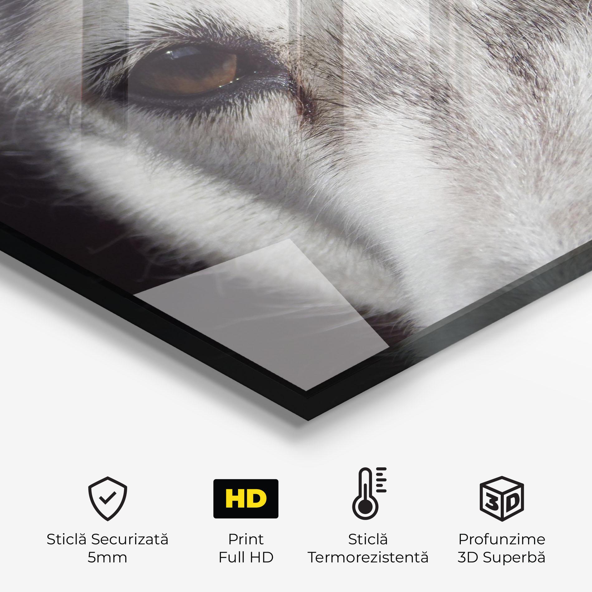 Panou Sticla Bucatarie Close Up Wolf mockup 2