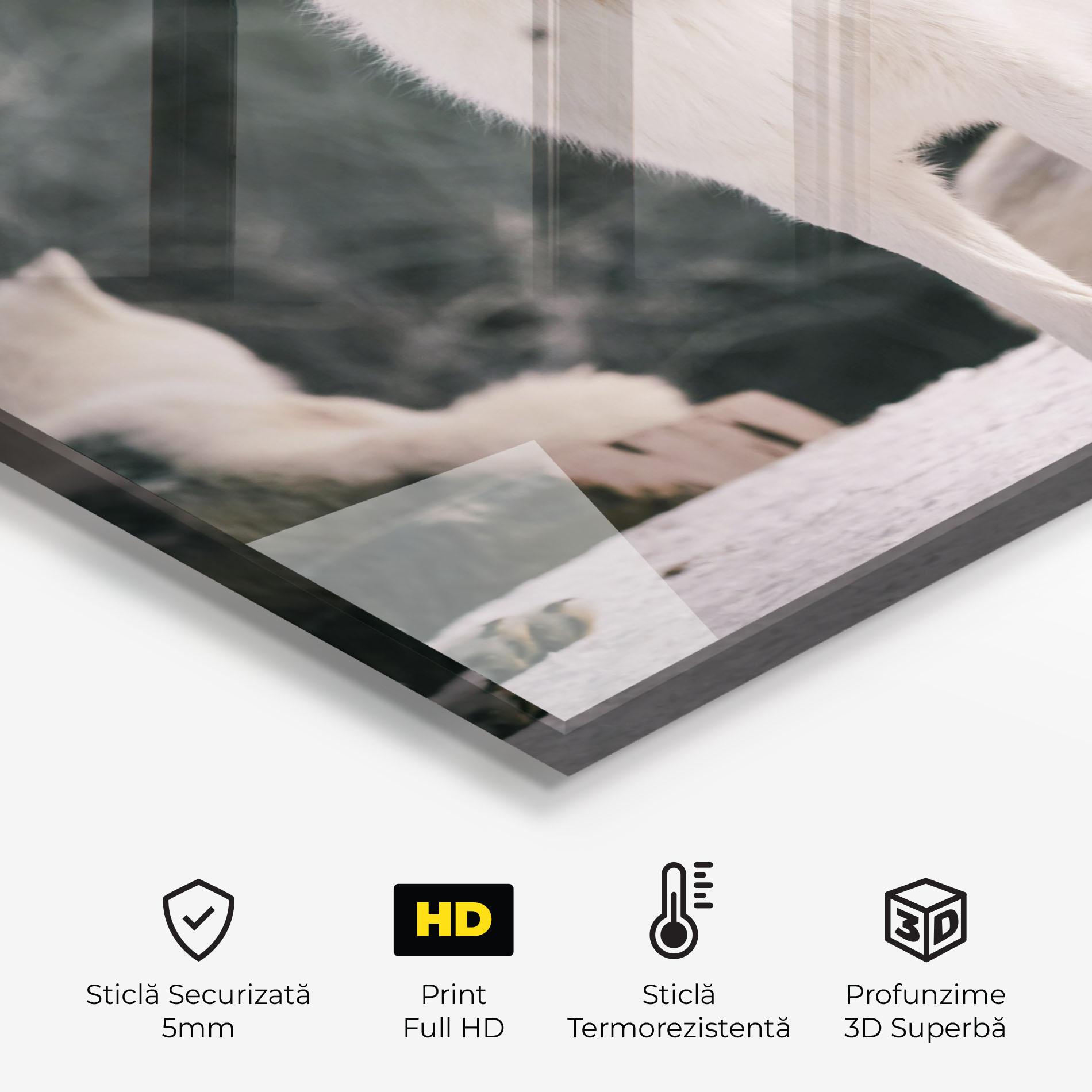 Panou Sticla Bucatarie Laughing White Wolf mockup 2