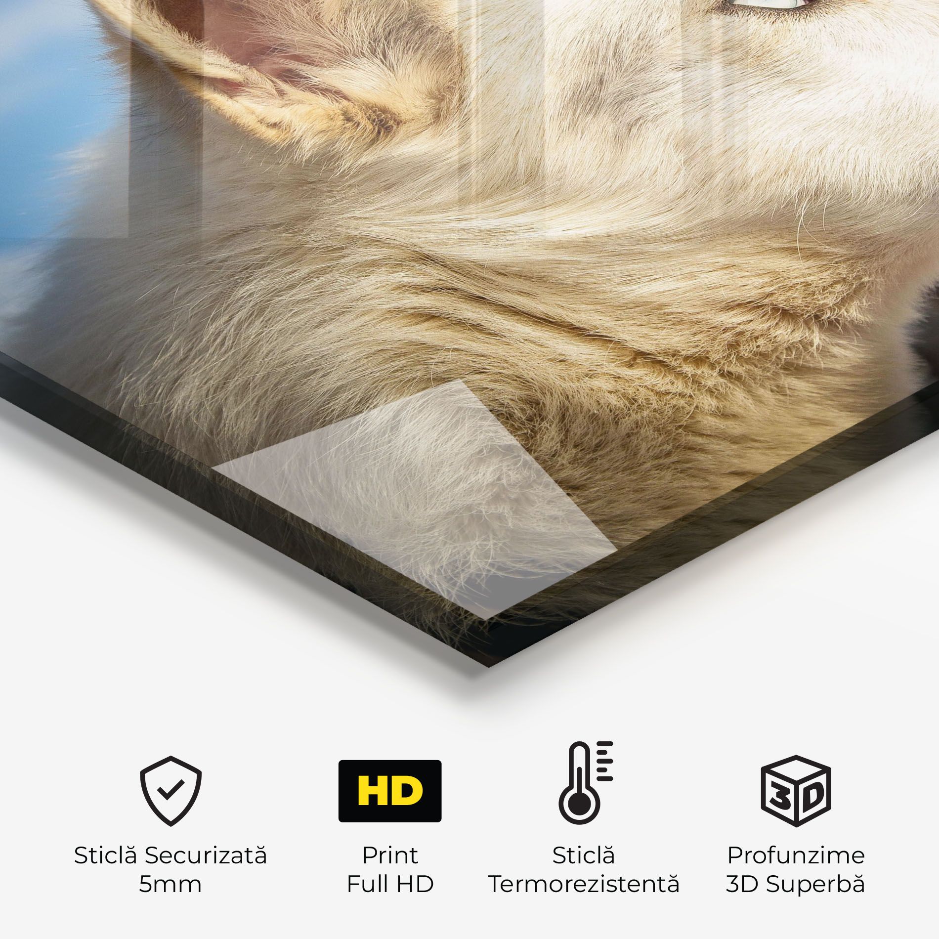 White Wolf Looking mockup 2