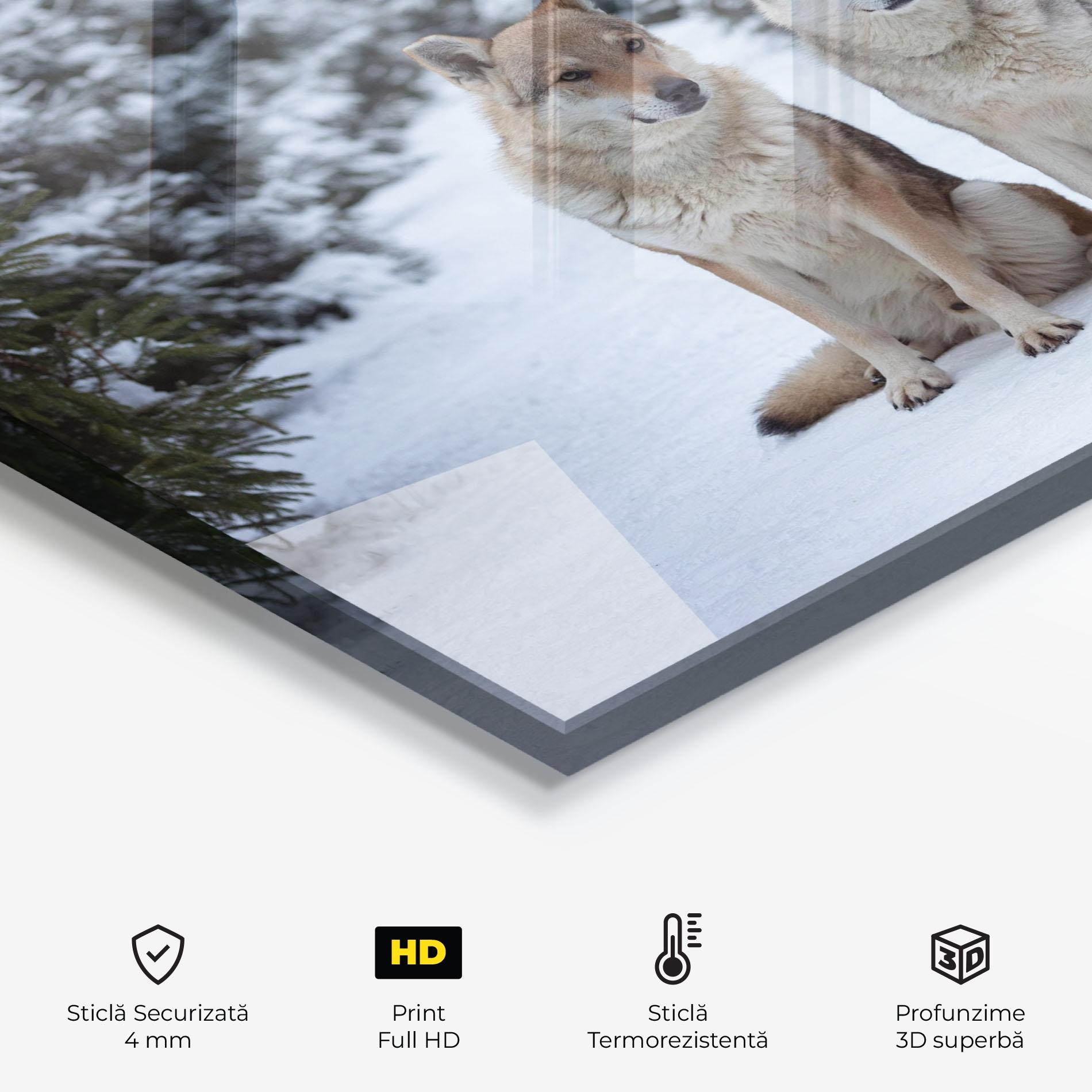 Panou Sticla Bucatarie 2 Wolfs Sitting mockup 2