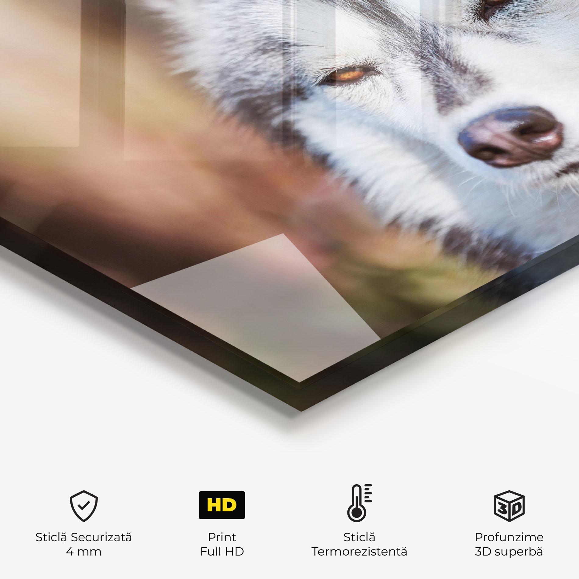 Panou Sticla Bucatarie Annoyed Wolf mockup 2