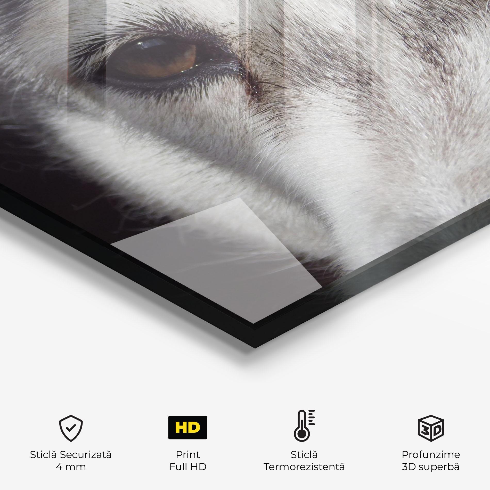Panou Sticla Bucatarie Close Up Wolf mockup 2
