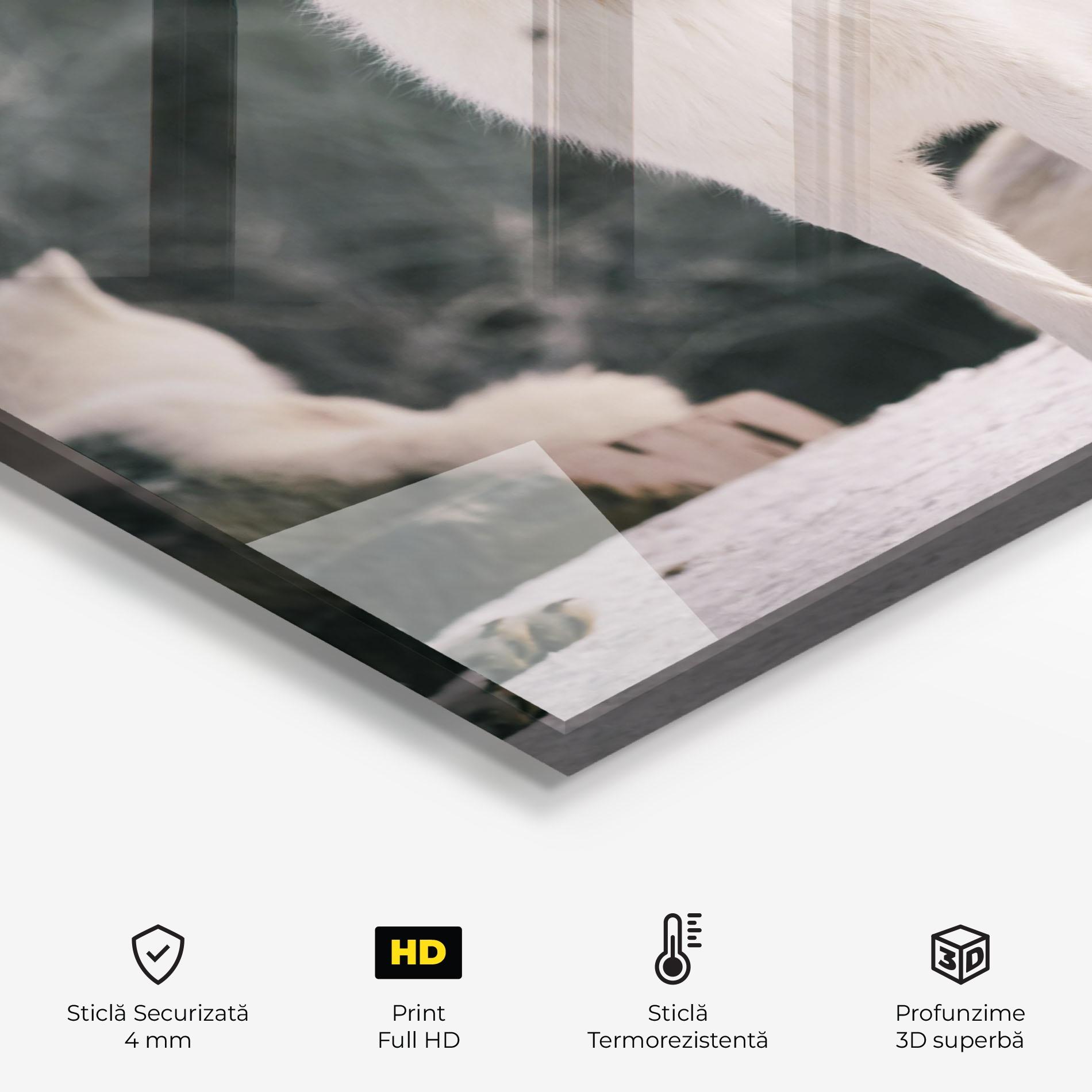 Panou Sticla Bucatarie Laughing White Wolf mockup 2