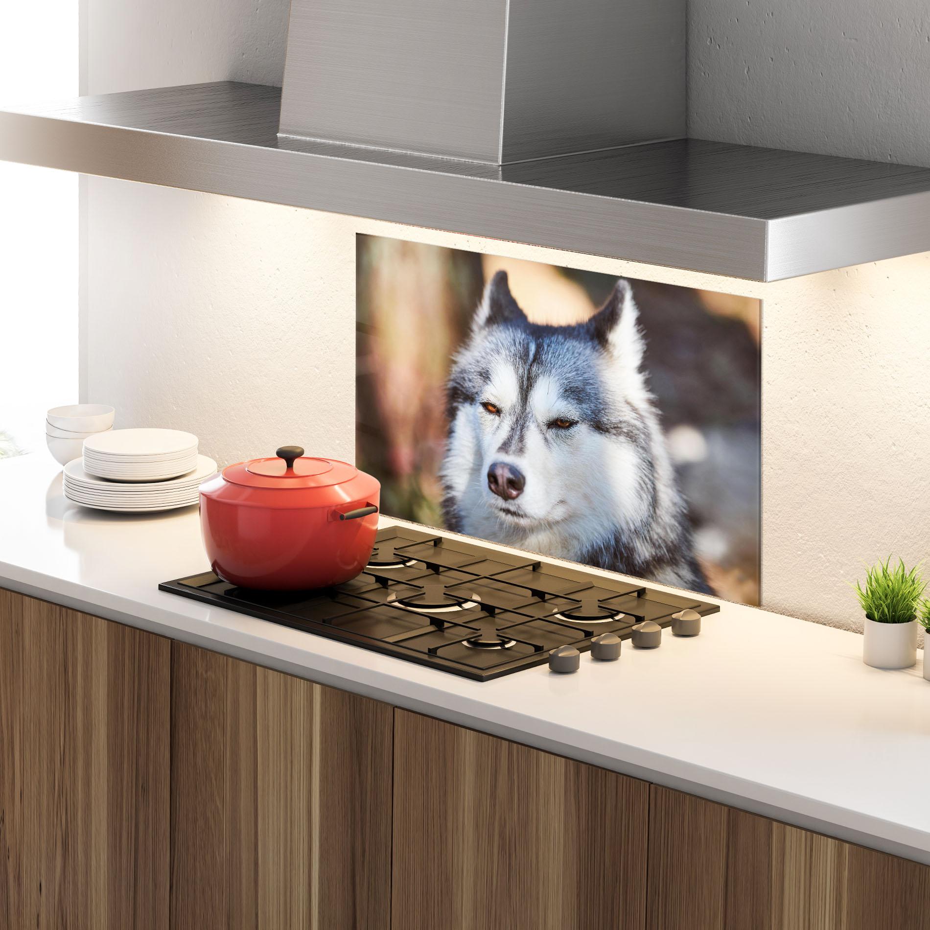 Panou Sticla Bucatarie Annoyed Wolf mockup 4