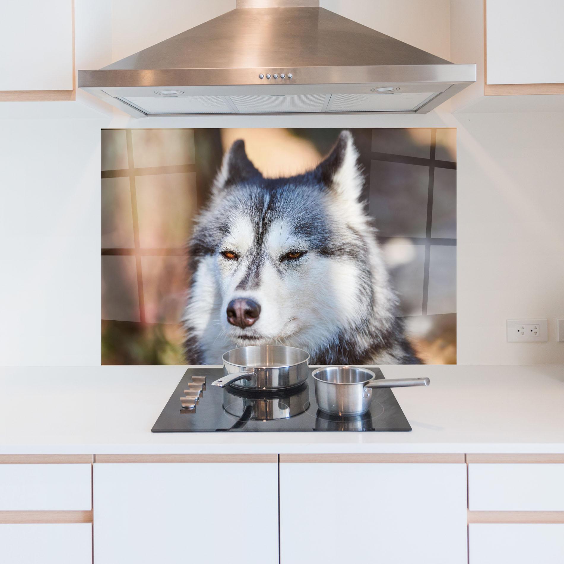 Panou Sticla Bucatarie Annoyed Wolf mockup 5