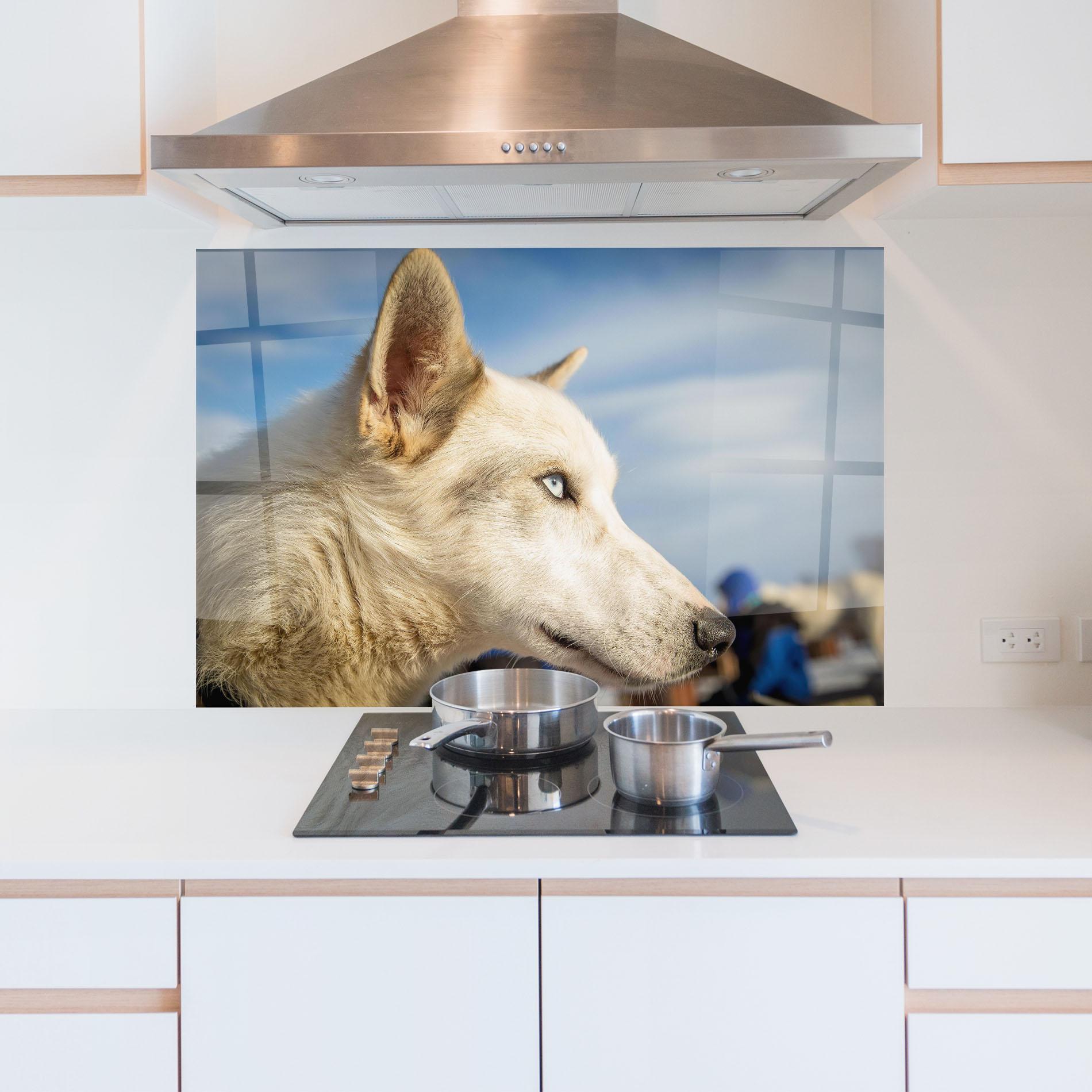 Panou Sticla Bucatarie White Wolf Looking mockup 5