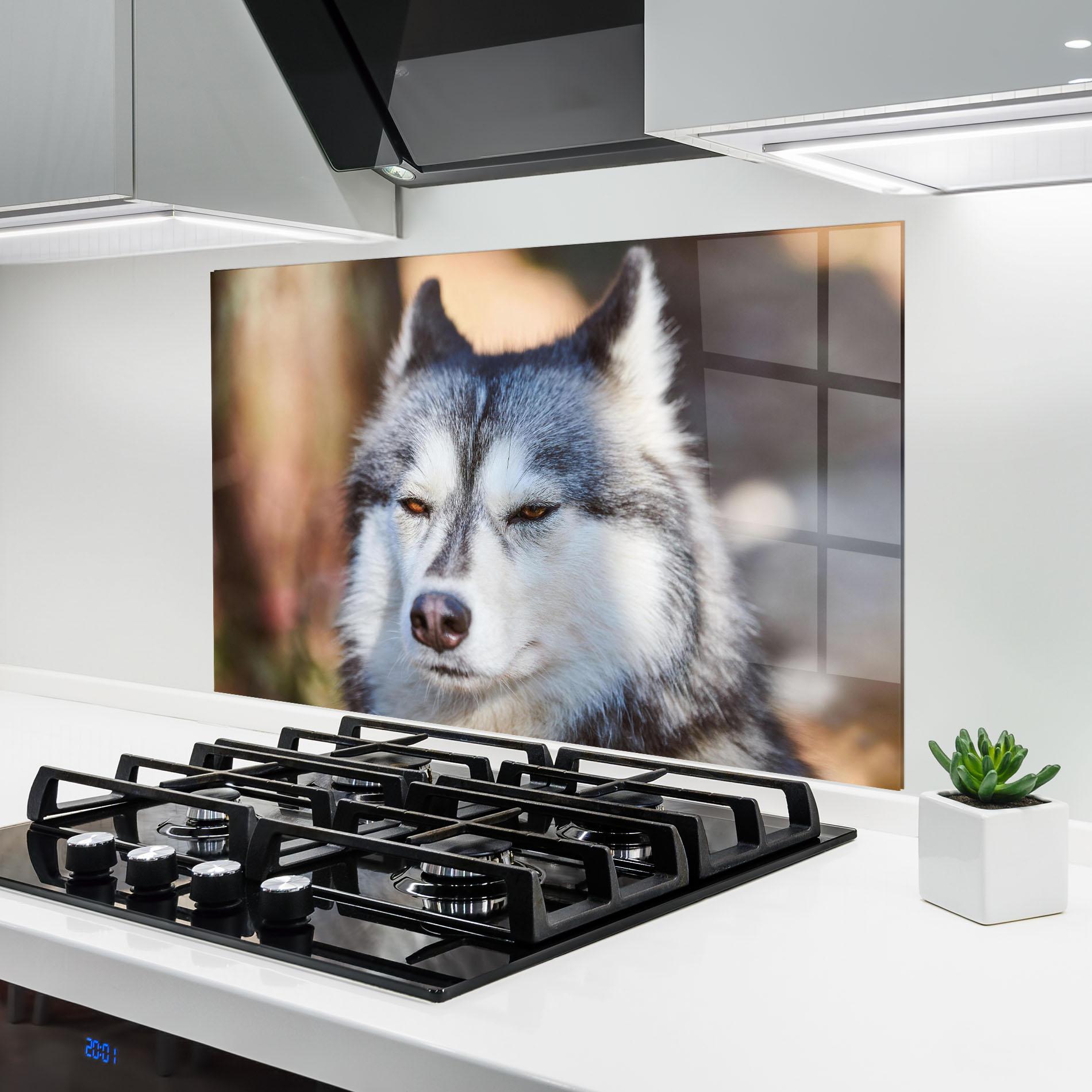 Panou Sticla Bucatarie Annoyed Wolf mockup 6