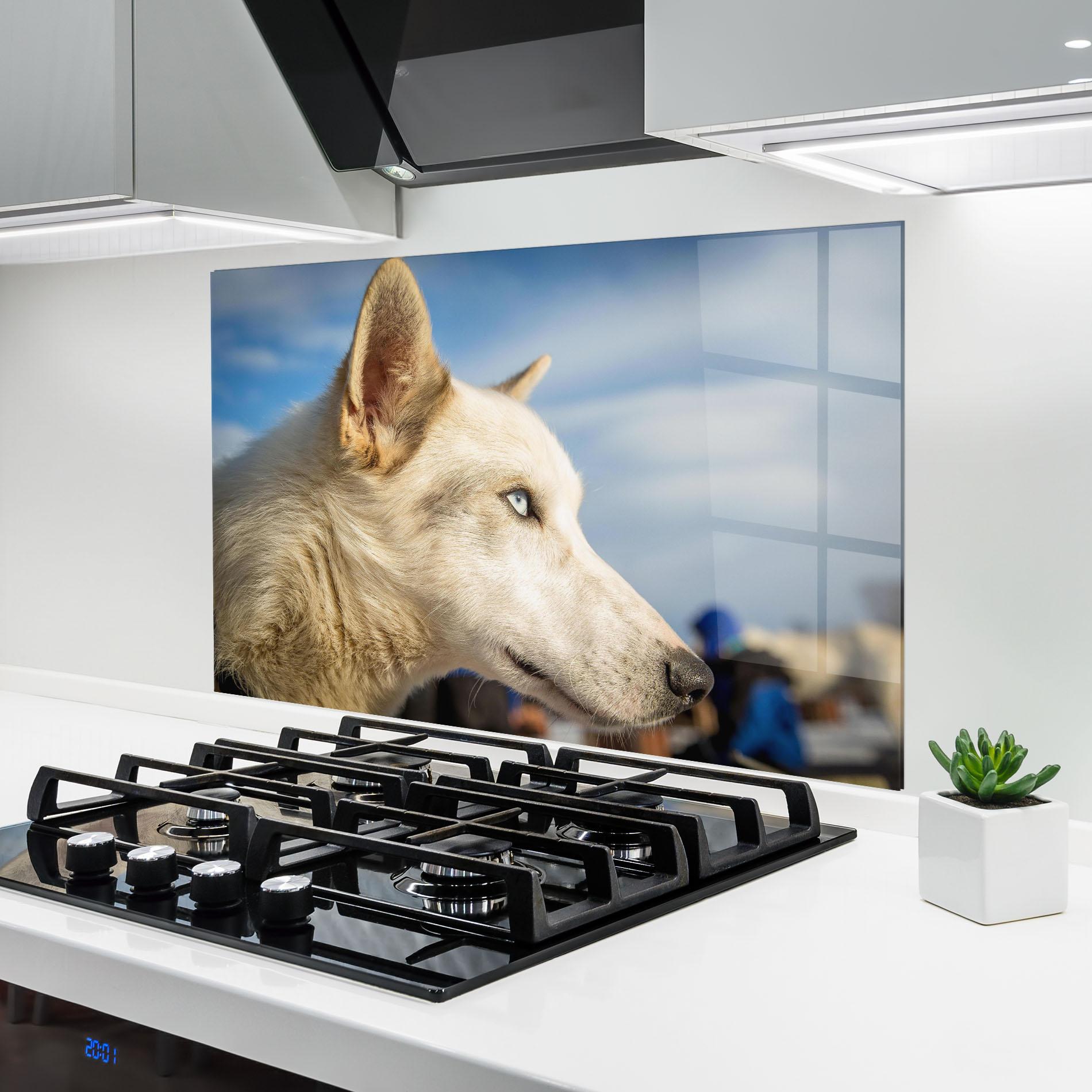 Panou Sticla Bucatarie White Wolf Looking mockup 6