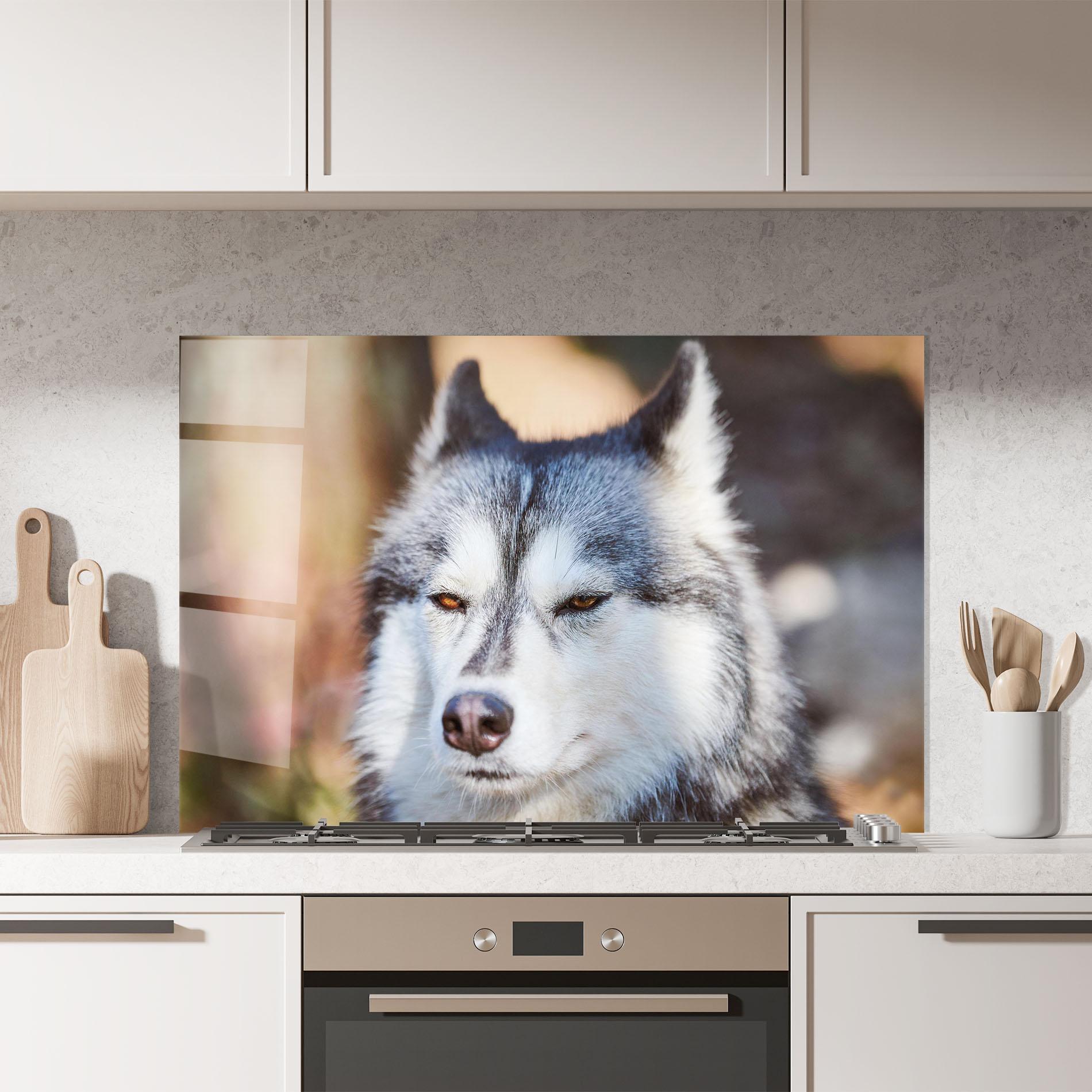 Panou Sticla Bucatarie Annoyed Wolf mockup 7