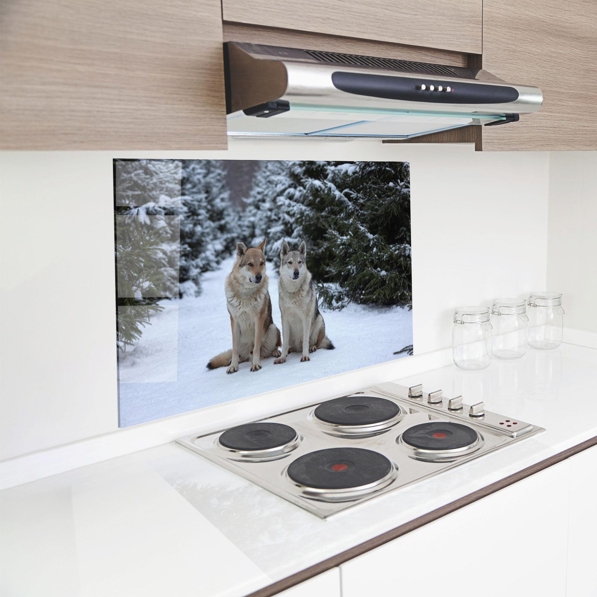 Panou Sticla Bucatarie 2 Wolfs Sitting mockup 8