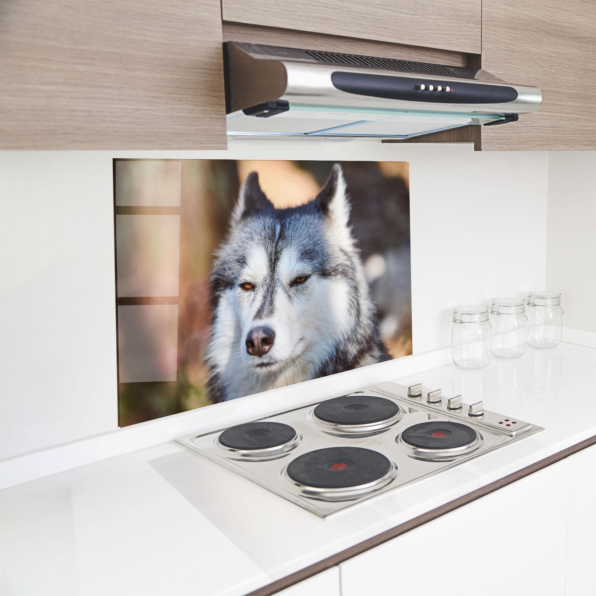 Panou Sticla Bucatarie Annoyed Wolf mockup 8