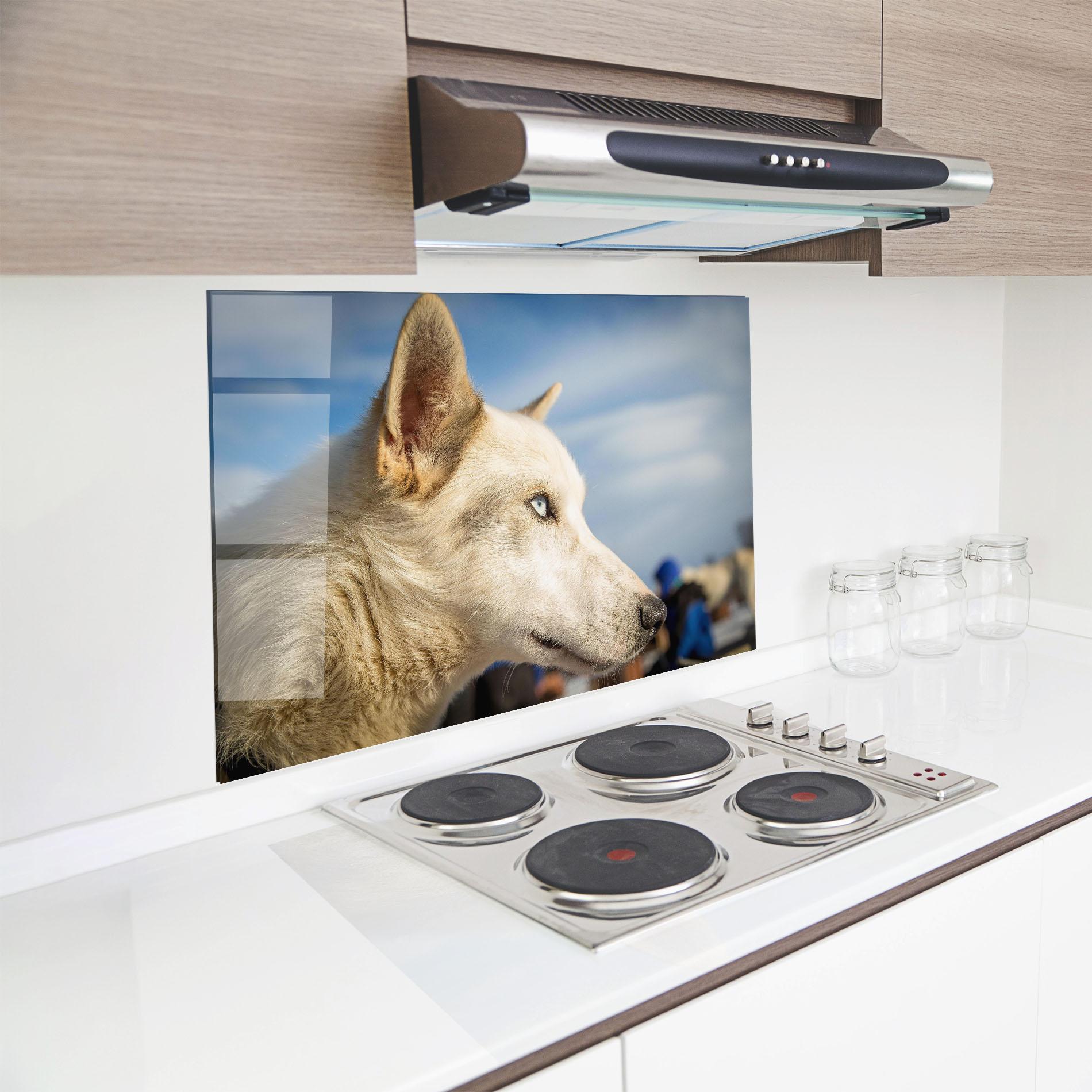 Panou Sticla Bucatarie White Wolf Looking mockup 8