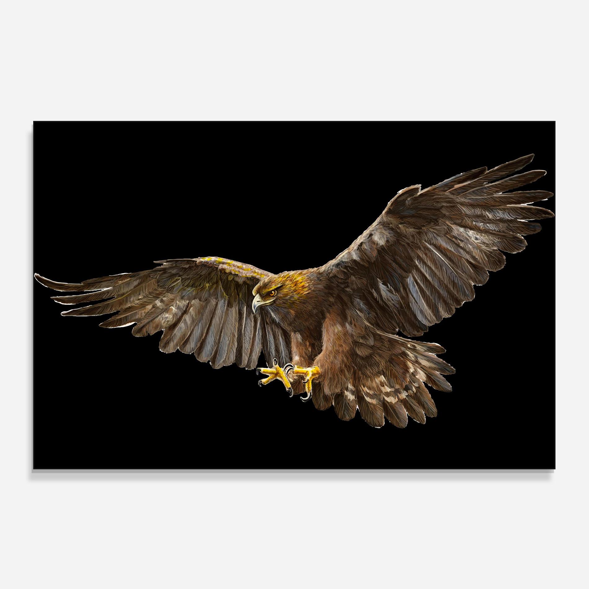 Panou Sticla Bucatarie Eagle On Black mockup 0