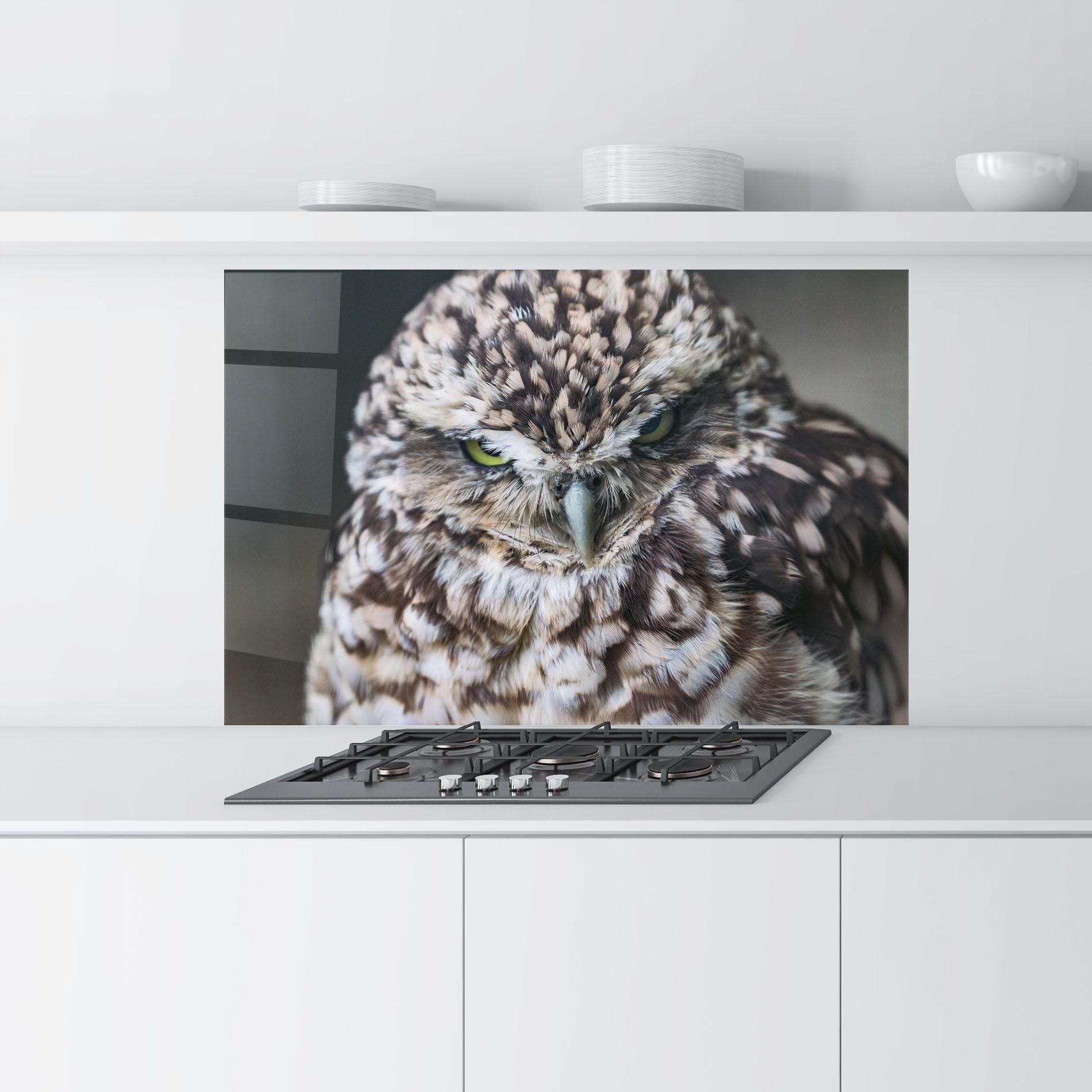 Panou Sticla Bucatarie Angry Little Owl mockup 9