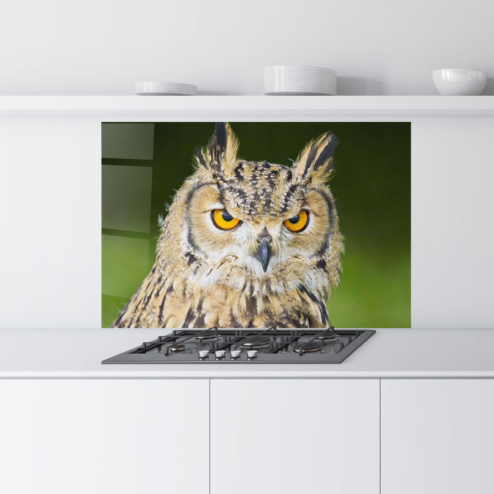 Panou Sticla Bucatarie Angry Owl mockup 9