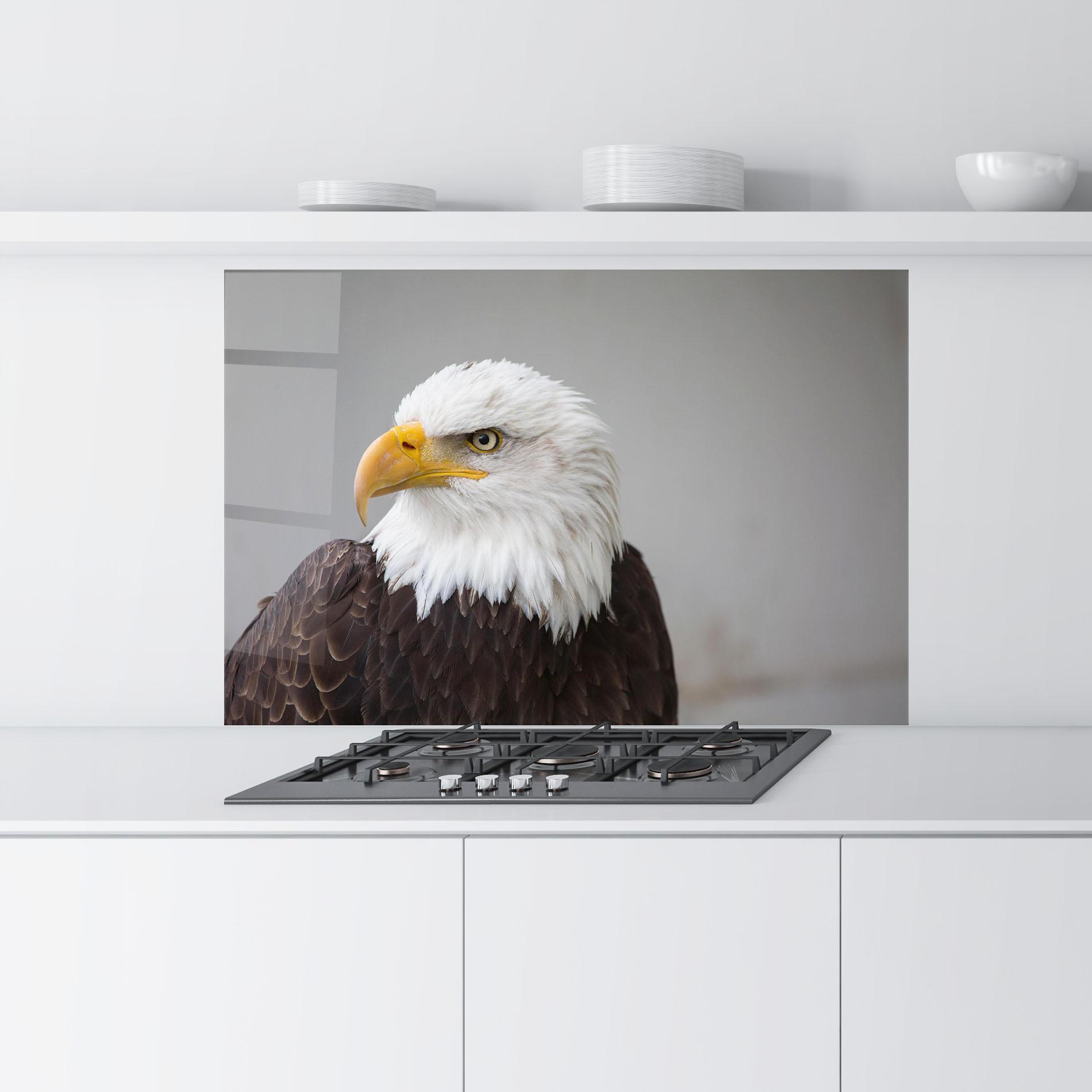Panou Sticla Bucatarie Beautiful Eagle mockup 9