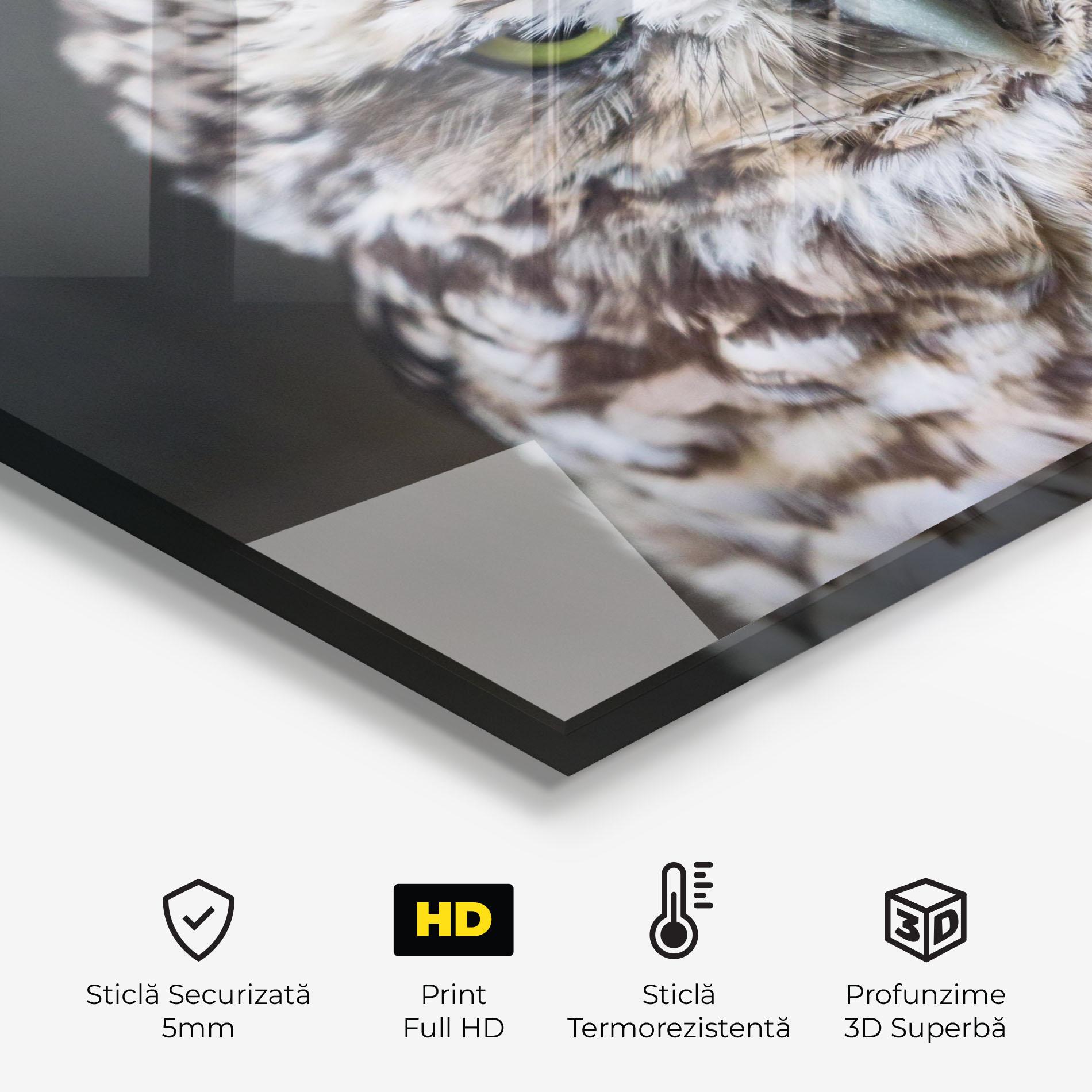 Panou Sticla Bucatarie Angry Little Owl mockup 2