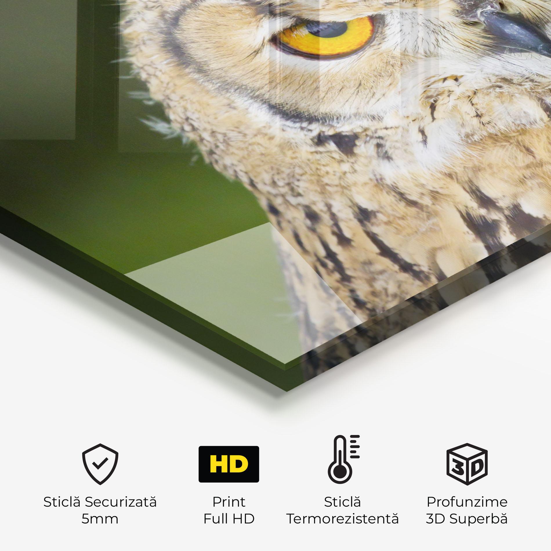 Panou Sticla Bucatarie Angry Owl mockup 2