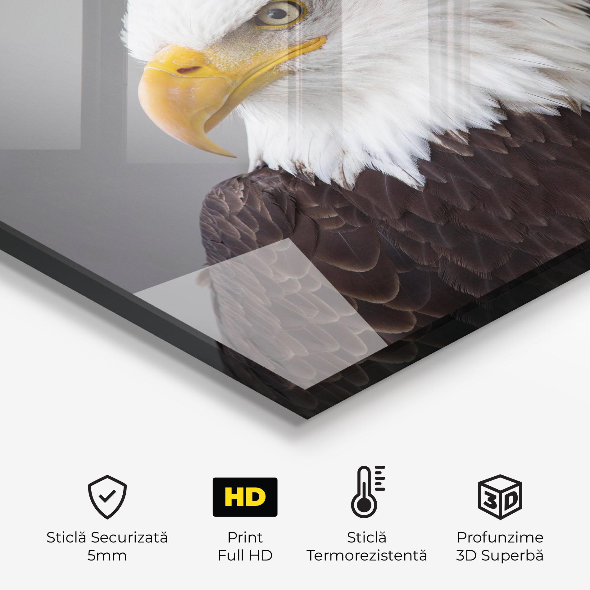 Panou Sticla Bucatarie Beautiful Eagle mockup 2