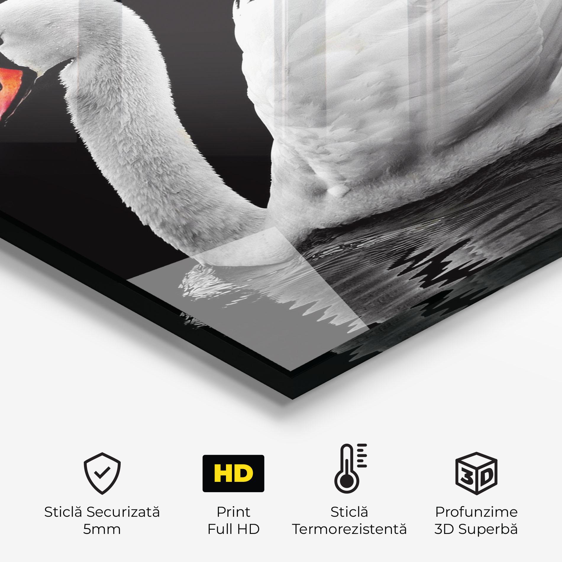 Panou Sticla Bucatarie Black And White Swan mockup 2