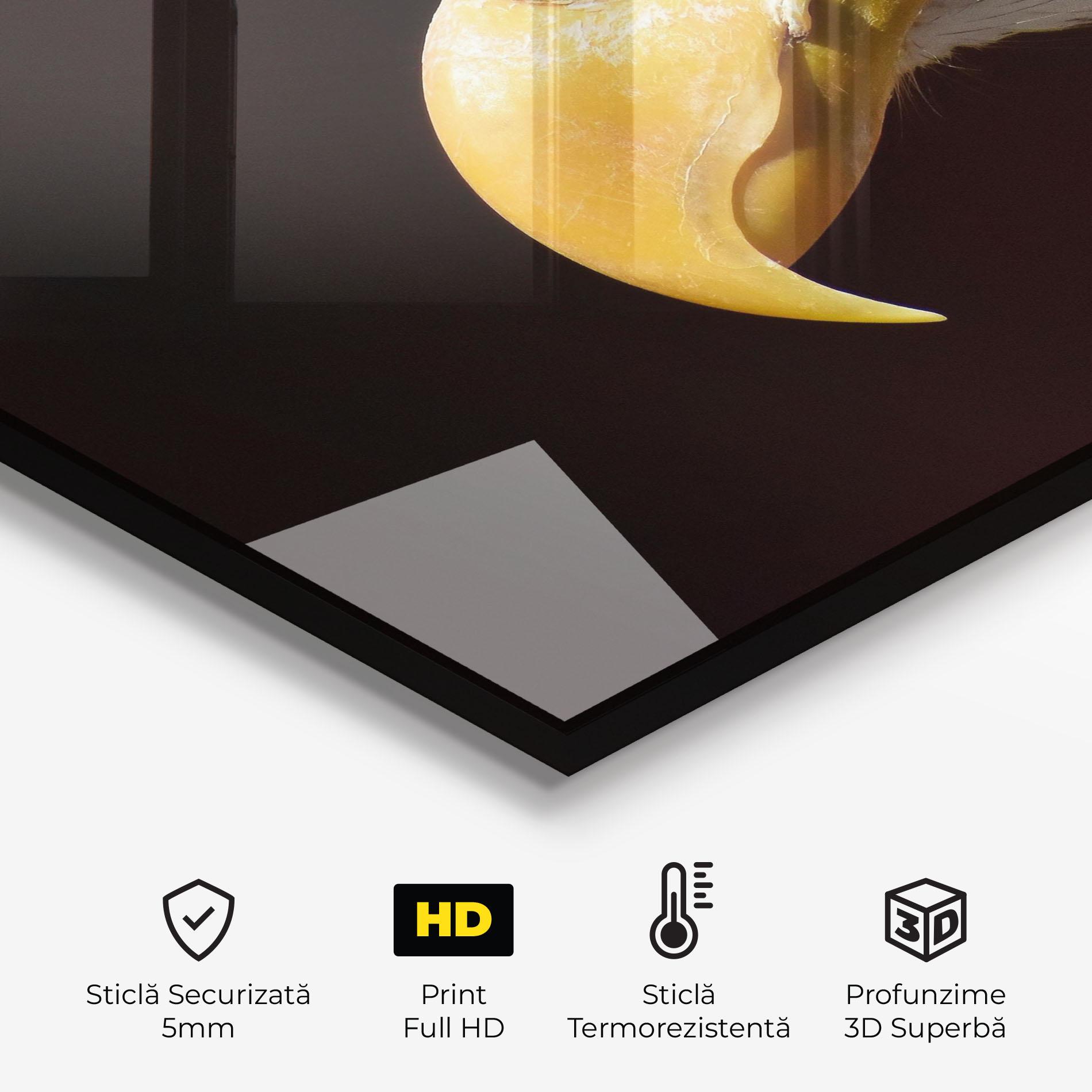 Panou Sticla Bucatarie Eagle Close Up mockup 2