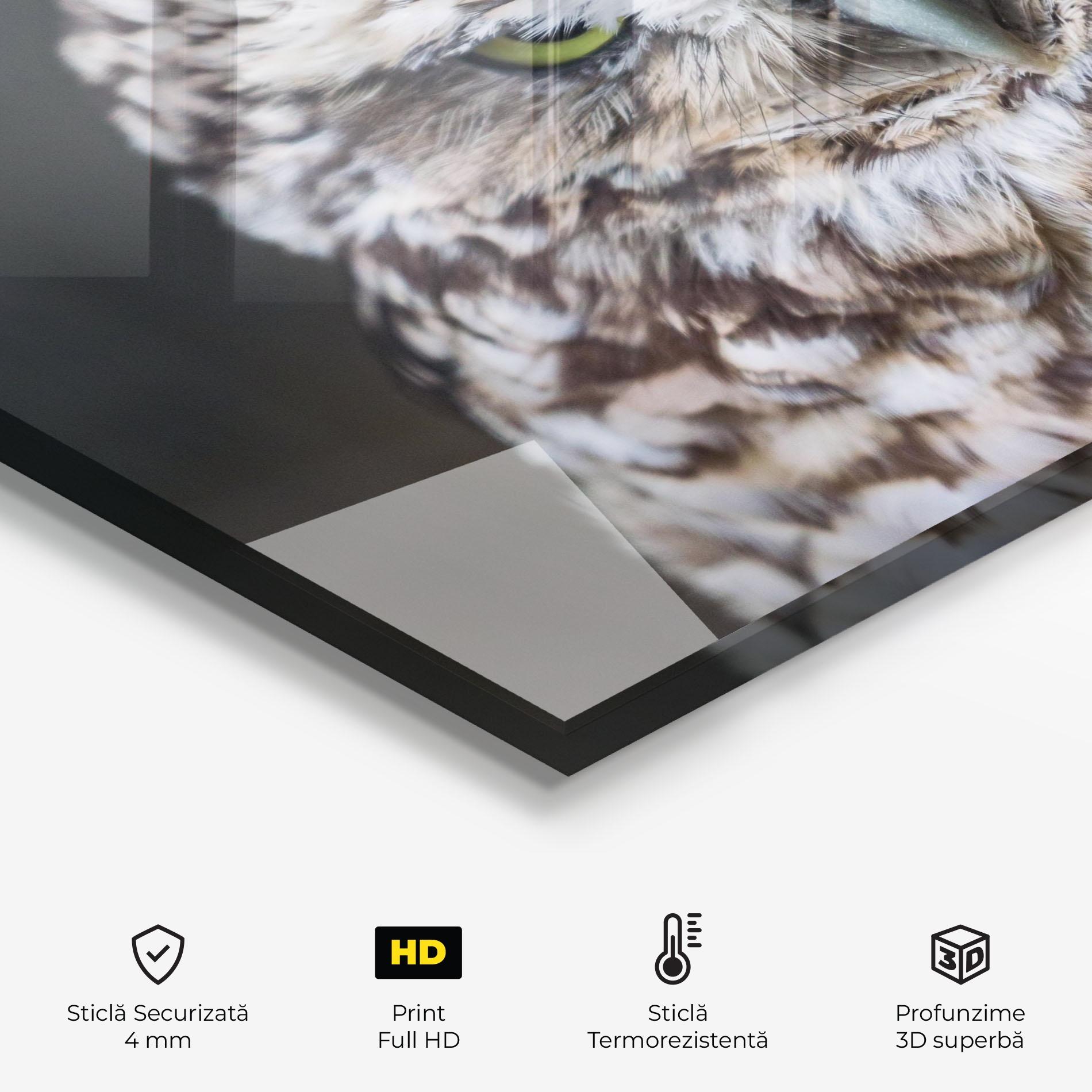 Panou Sticla Bucatarie Angry Little Owl mockup 2
