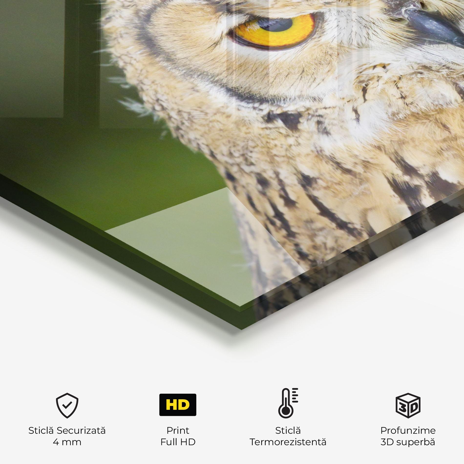 Panou Sticla Bucatarie Angry Owl mockup 2