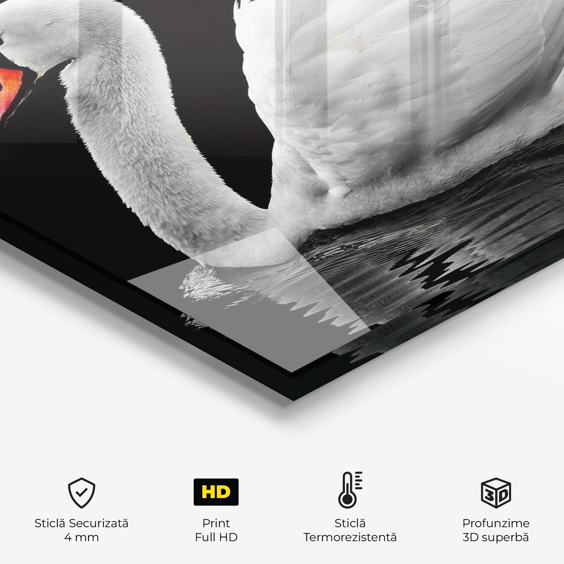 Panou Sticla Bucatarie Black And White Swan mockup 2