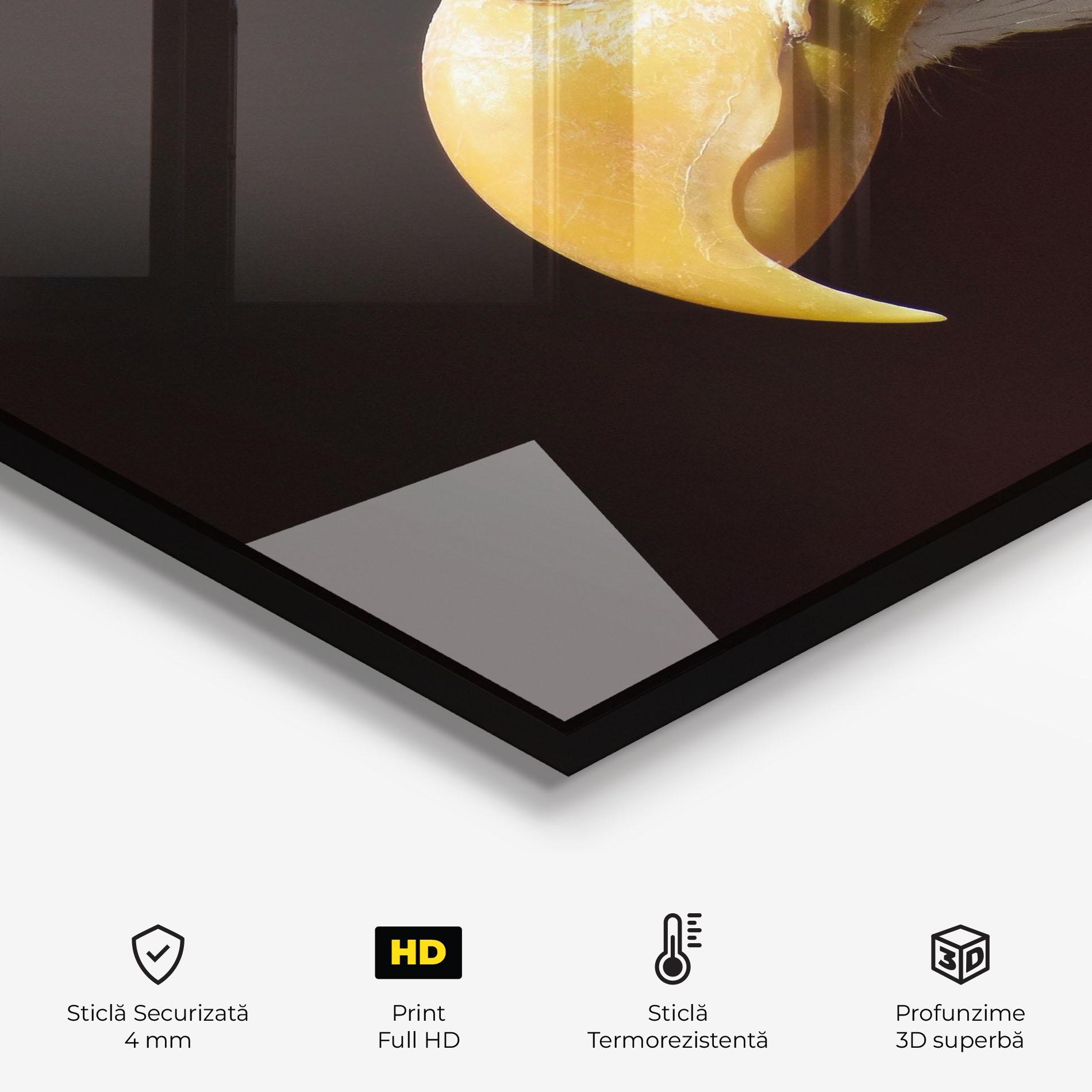 Panou Sticla Bucatarie Eagle Close Up mockup 2