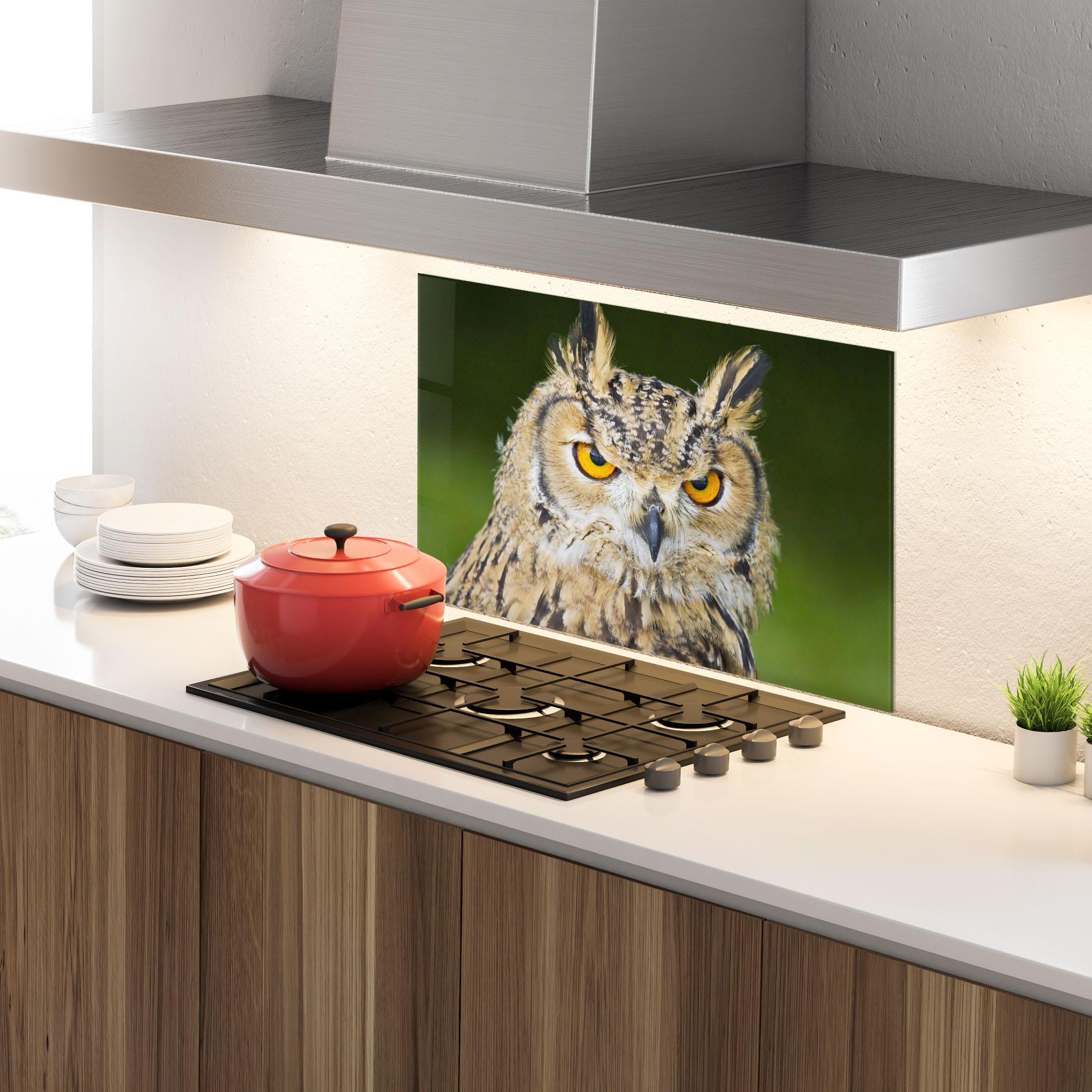 Panou Sticla Bucatarie Angry Owl mockup 4