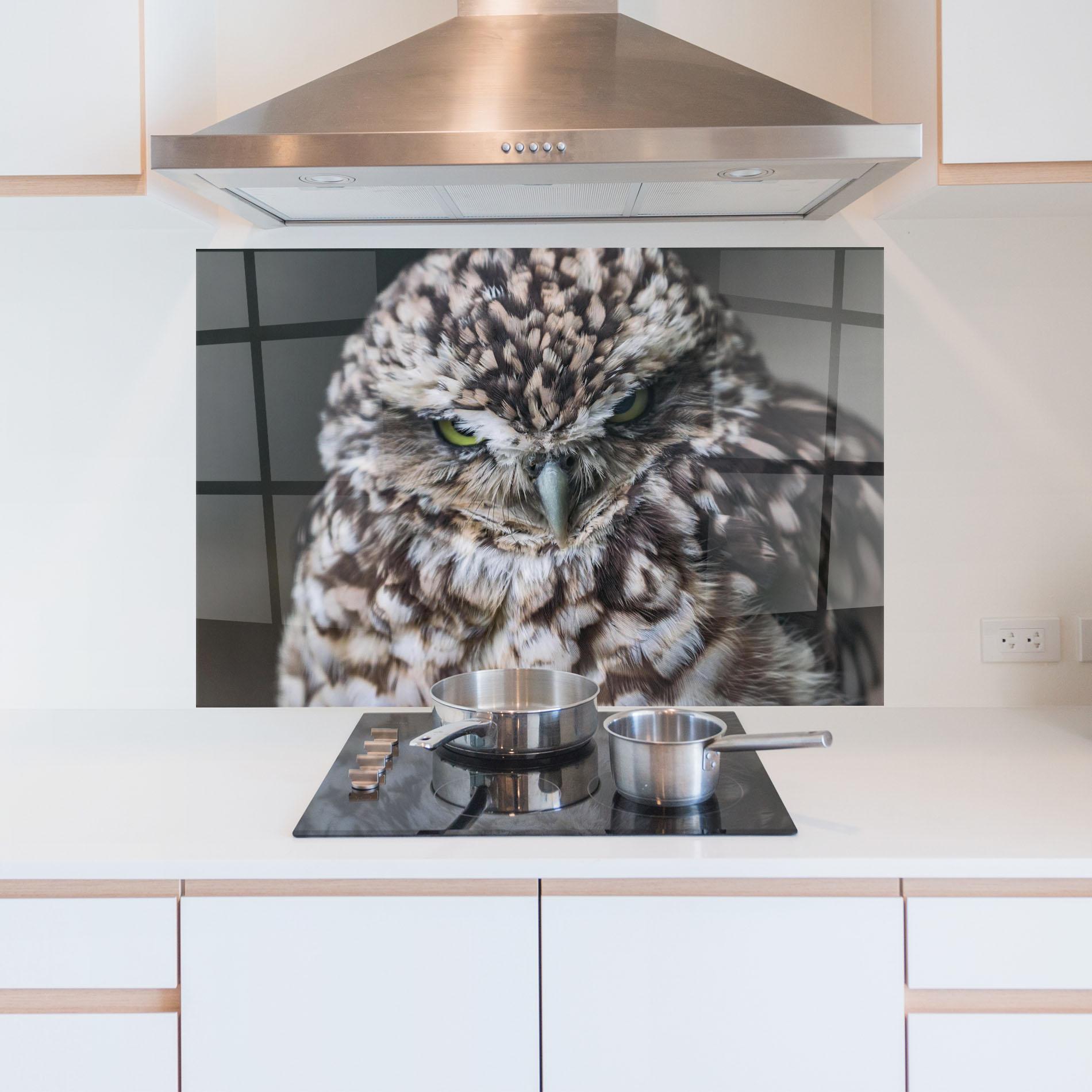 Panou Sticla Bucatarie Angry Little Owl mockup 5