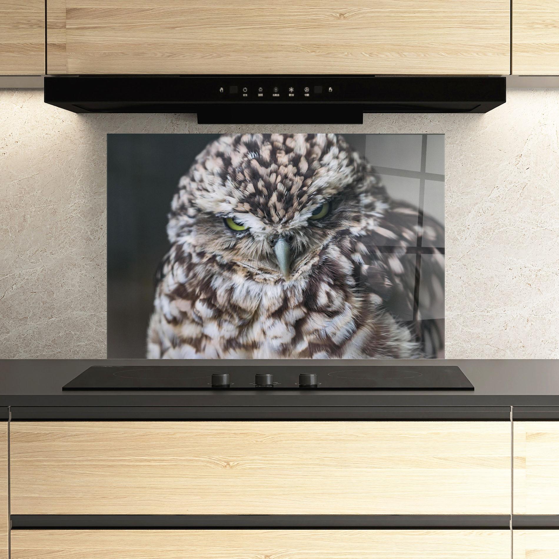 Panou Sticla Bucatarie Angry Little Owl mockup 3