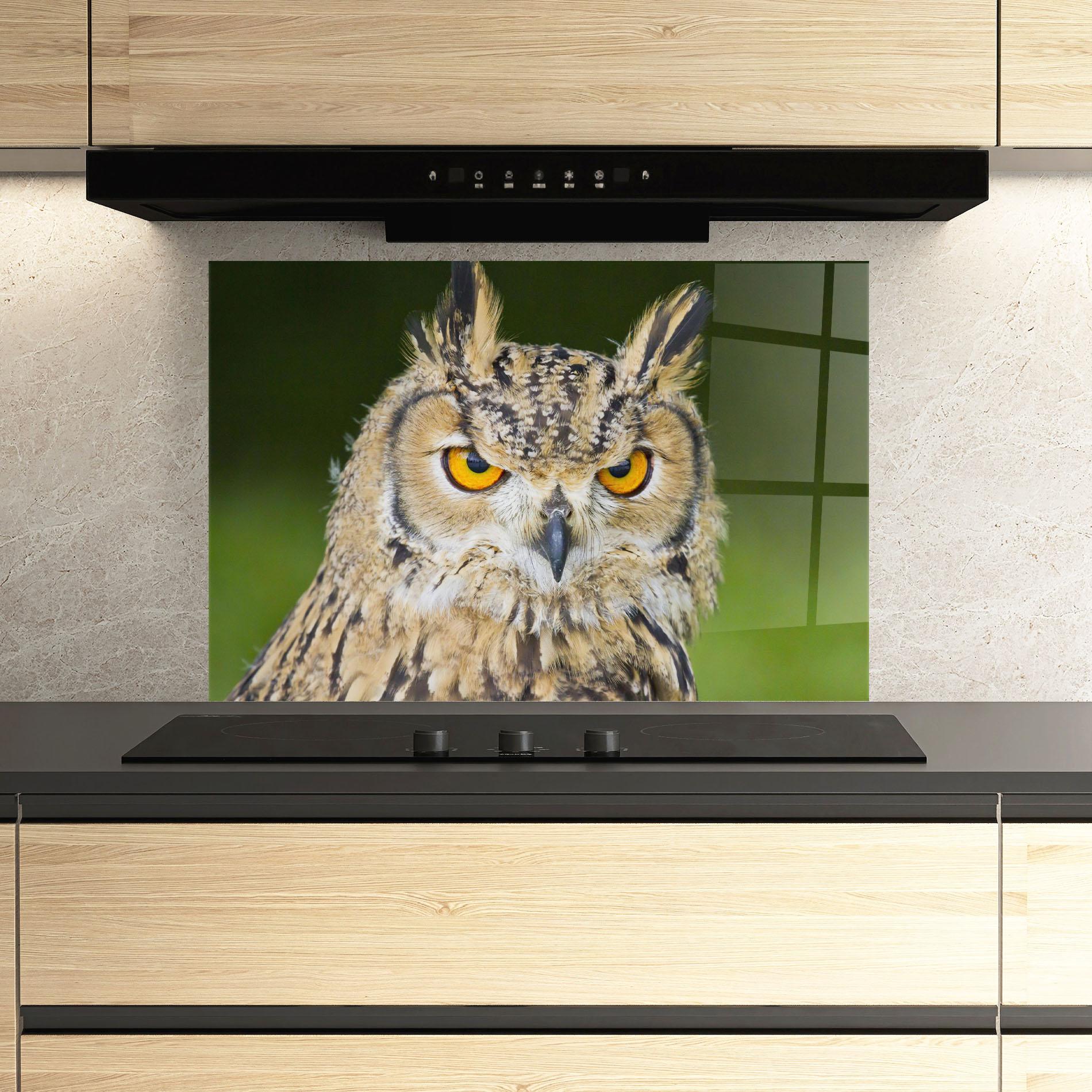 Panou Sticla Bucatarie Angry Owl mockup 3