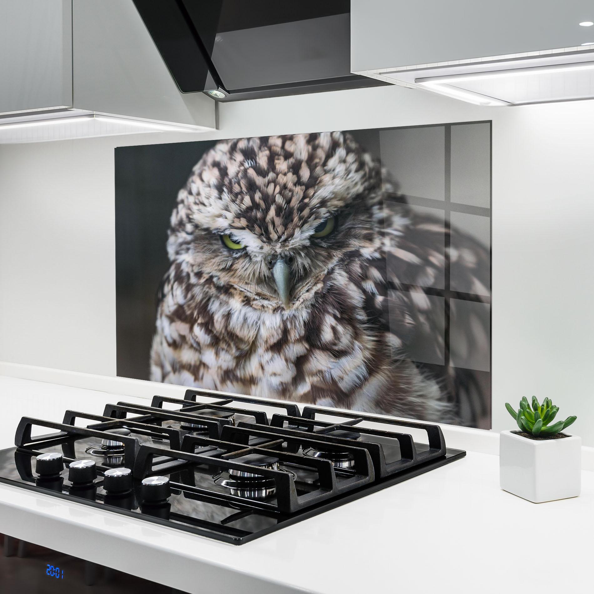 Panou Sticla Bucatarie Angry Little Owl mockup 6