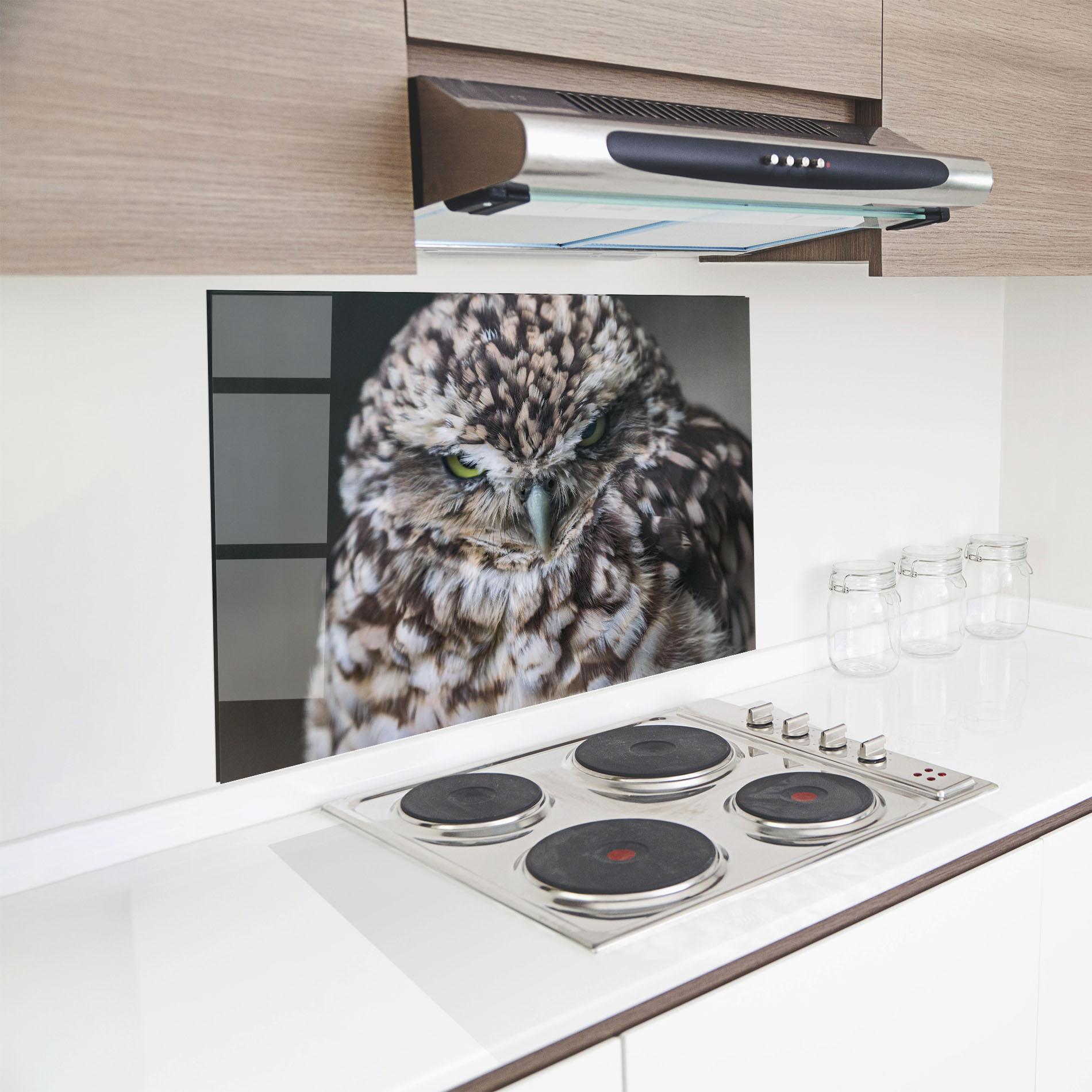 Panou Sticla Bucatarie Angry Little Owl mockup 8