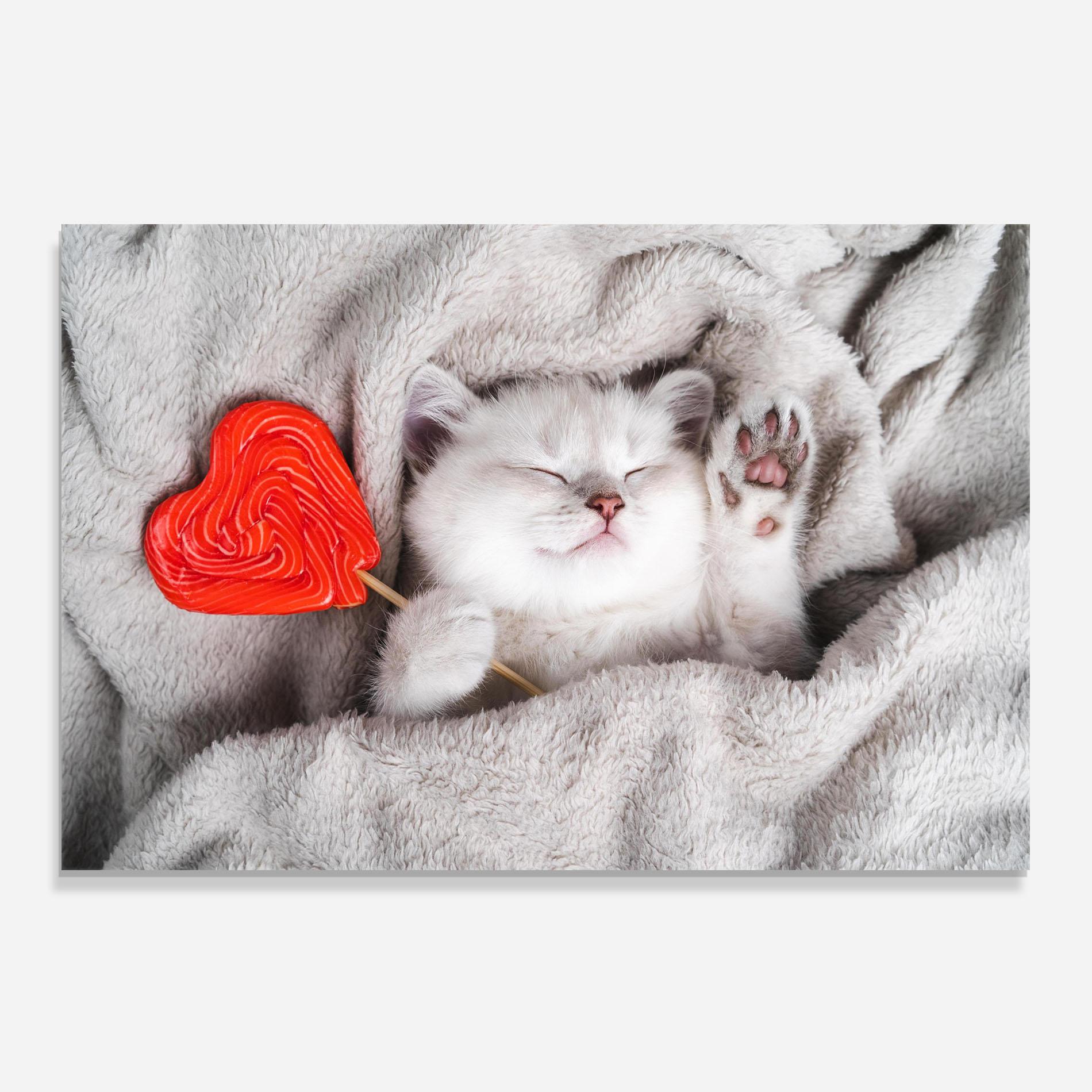 Panou Sticla Bucatarie Small White Kitten mockup 0