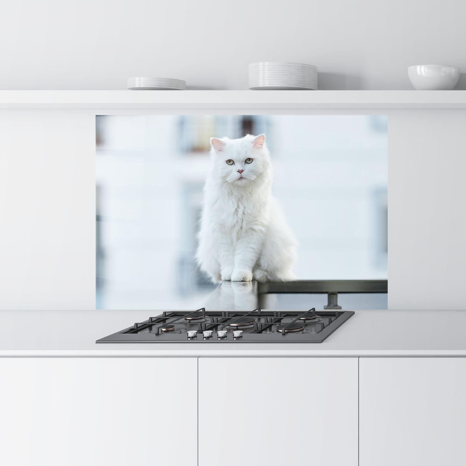 Panou Sticla Bucatarie Big White Cat mockup 9