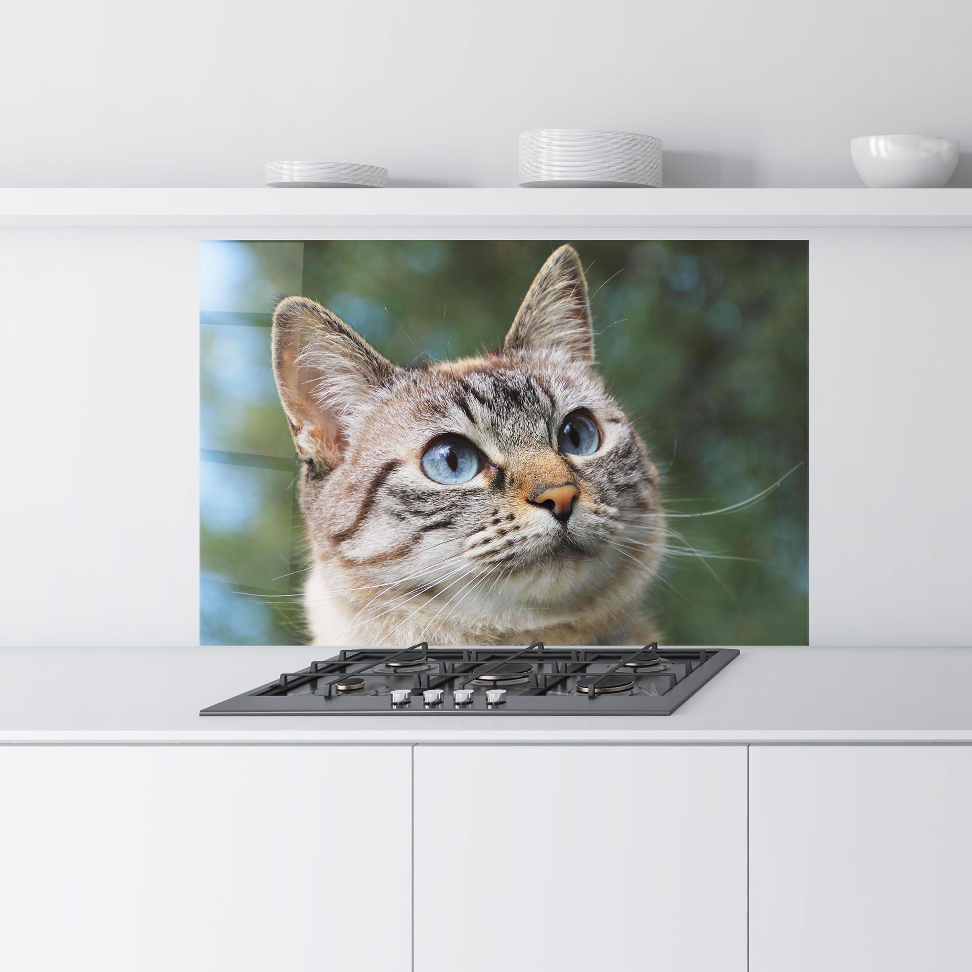 Panou Sticla Bucatarie Blue Eyes Cutie mockup 9