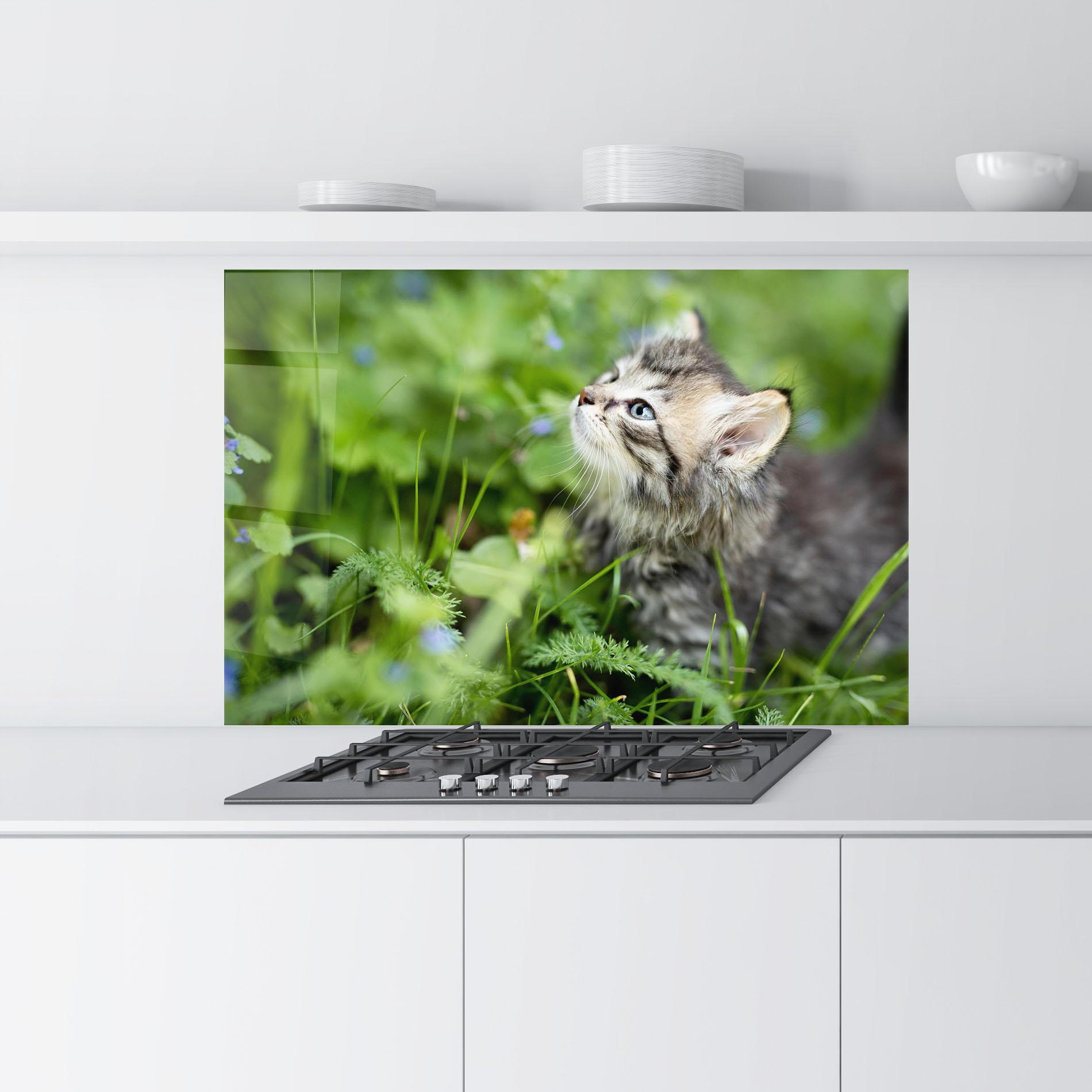 Panou Sticla Bucatarie Brown Baby Cat mockup 9