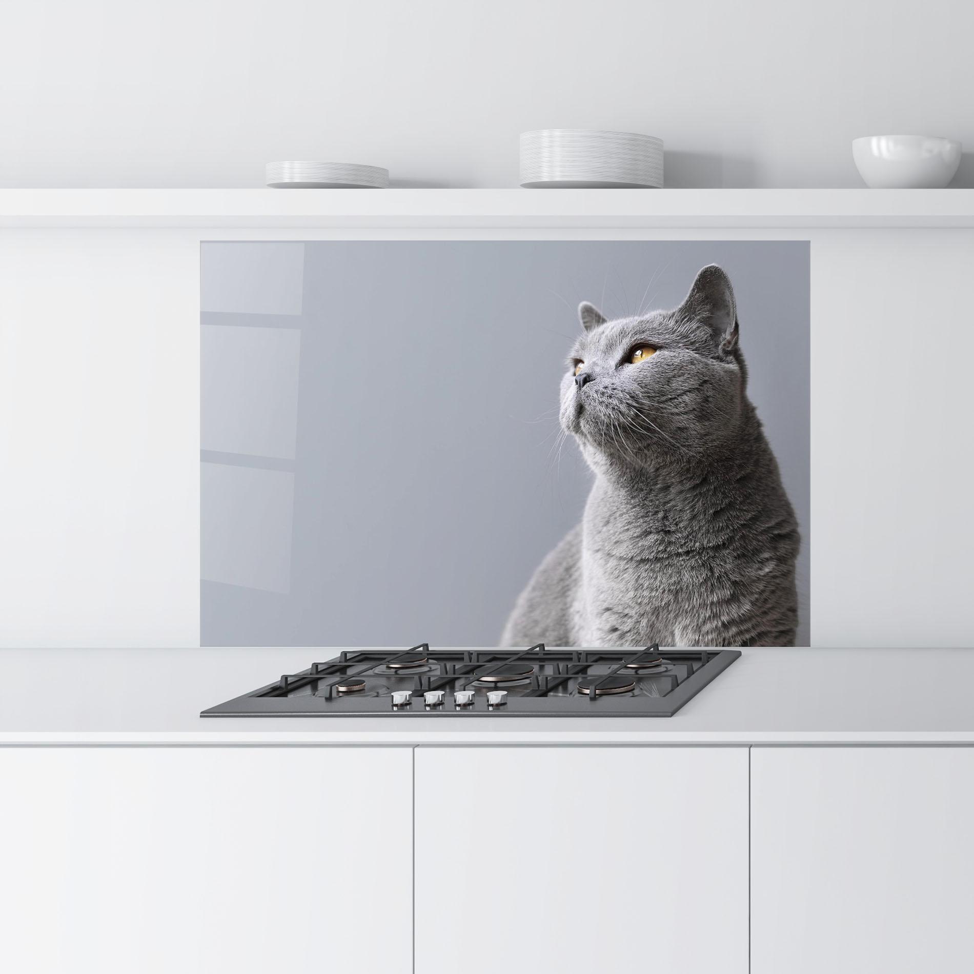Panou Sticla Bucatarie Gray Kitty mockup 9