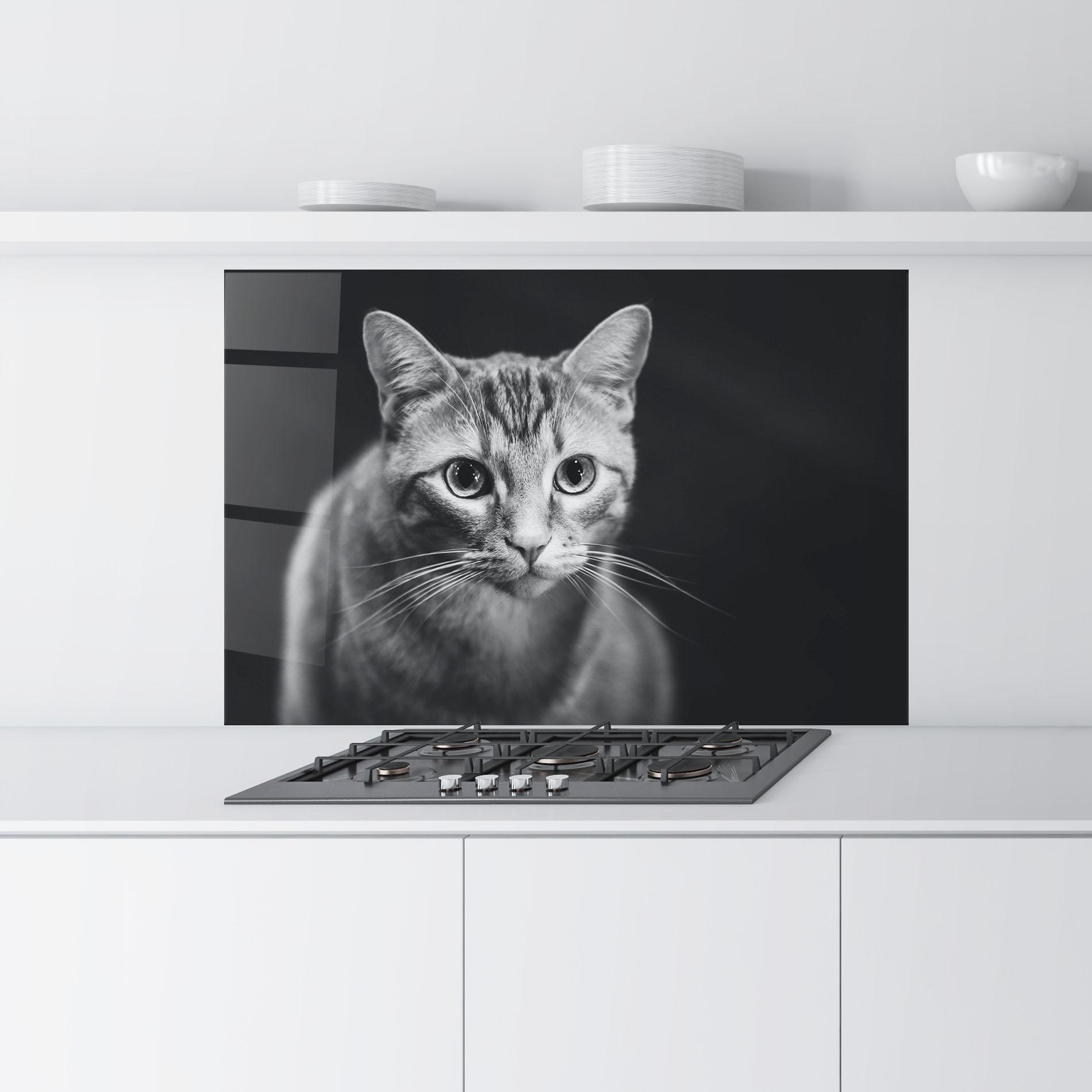 Panou Sticla Bucatarie Grey Kitty On Black mockup 9
