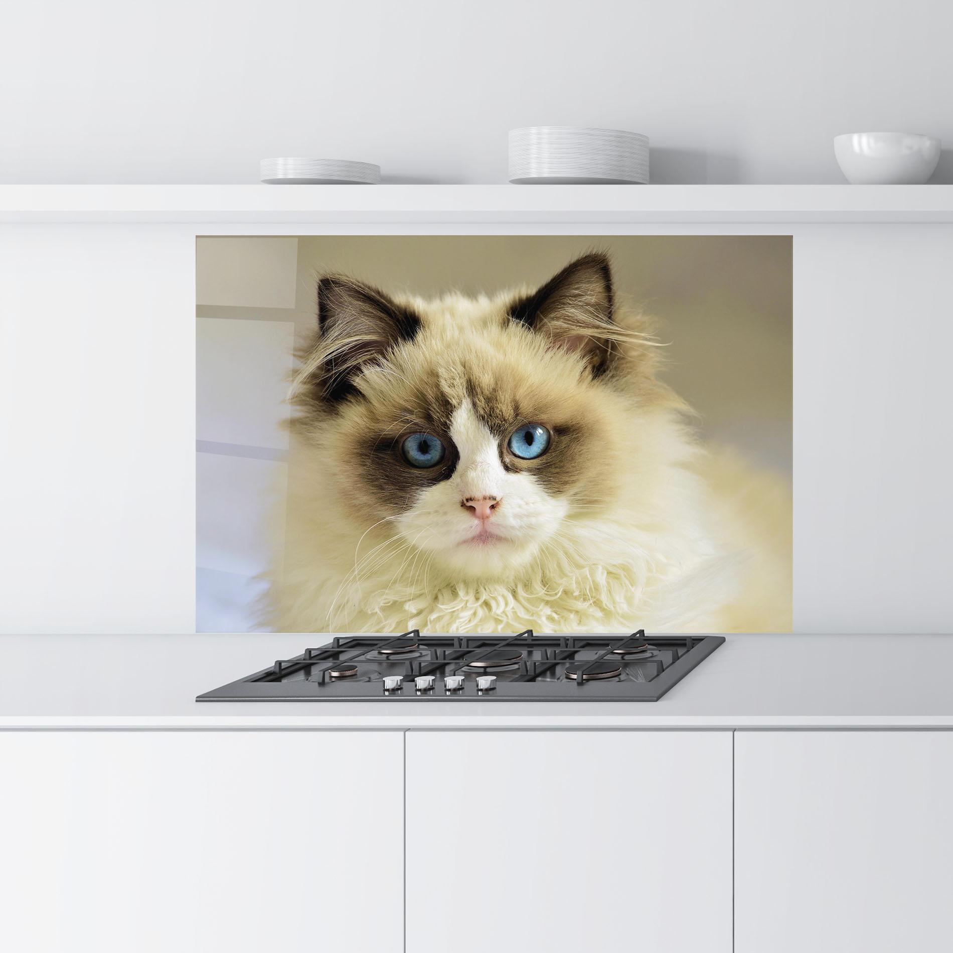 Panou Sticla Bucatarie Interesting Blue Eyes Cat mockup 9