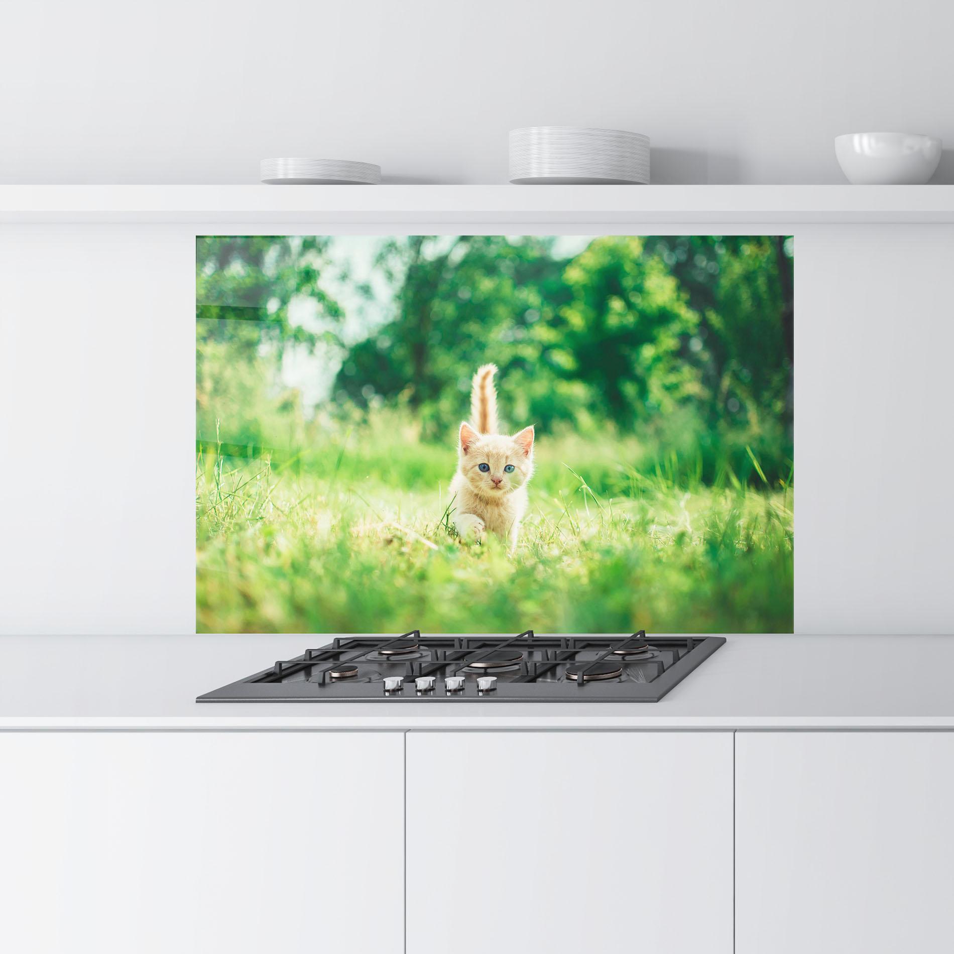 Panou Sticla Bucatarie Little Cute Cat mockup 9