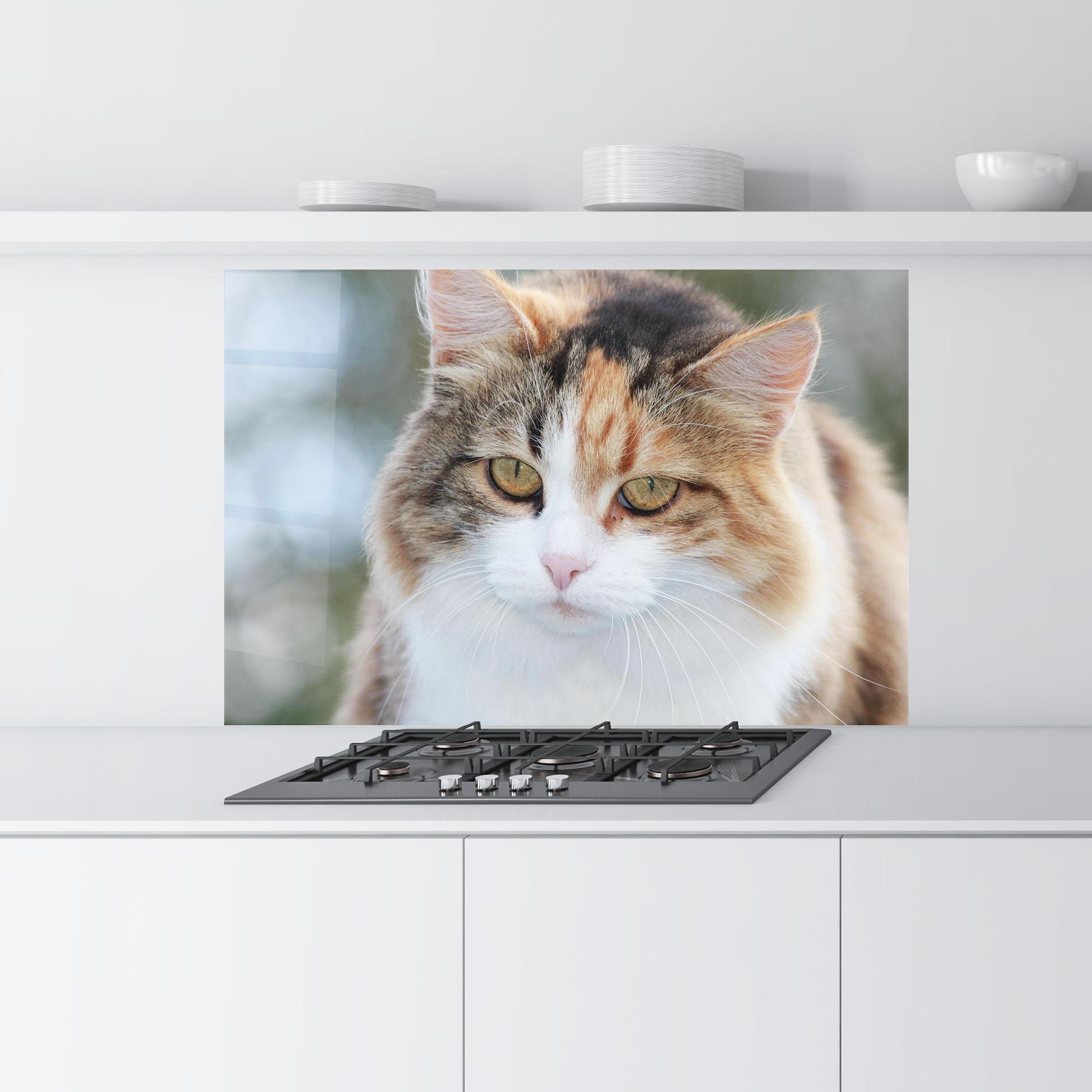 Panou Sticla Bucatarie Orange Brown Cat mockup 9