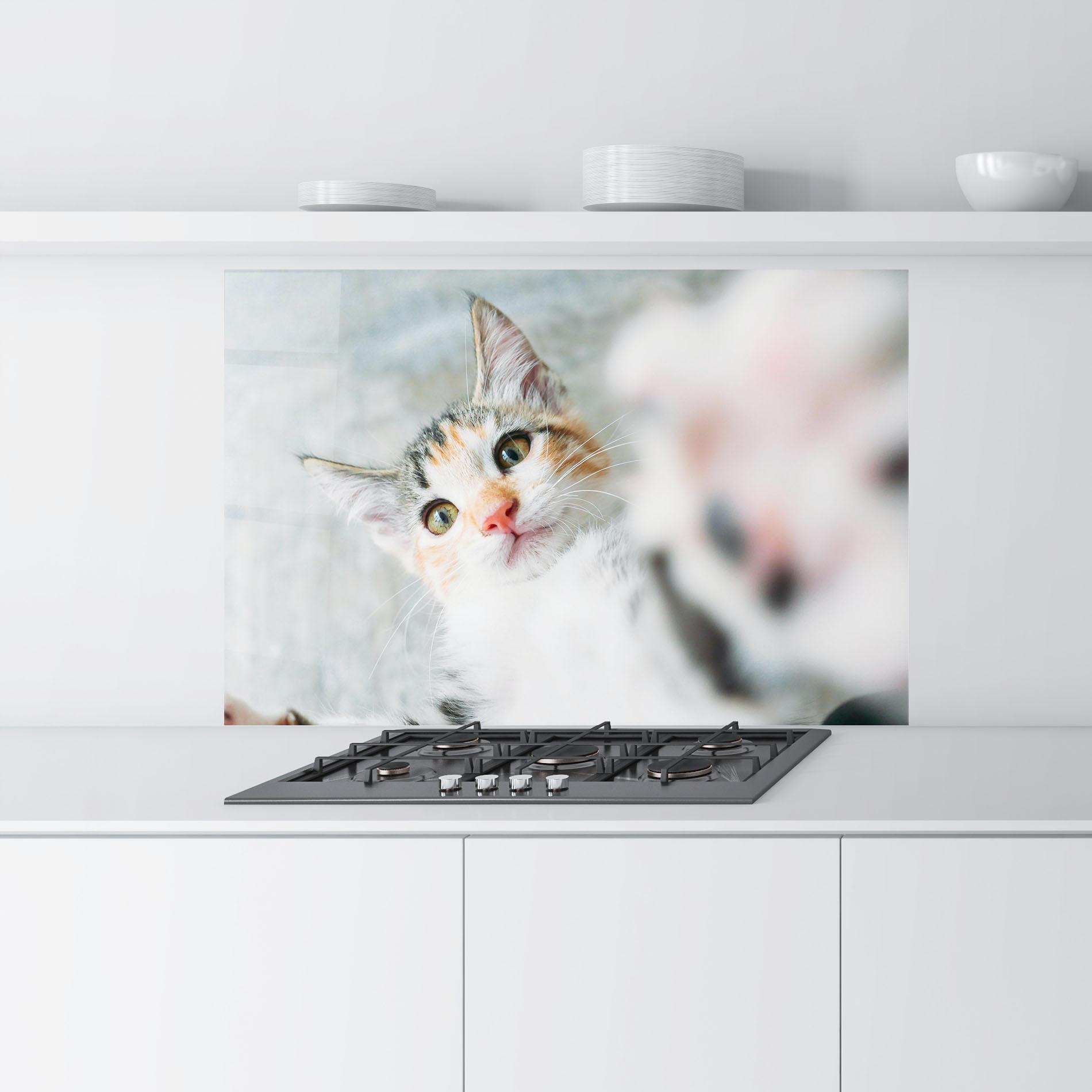 Panou Sticla Bucatarie Pretty Pink Nose Cat mockup 9