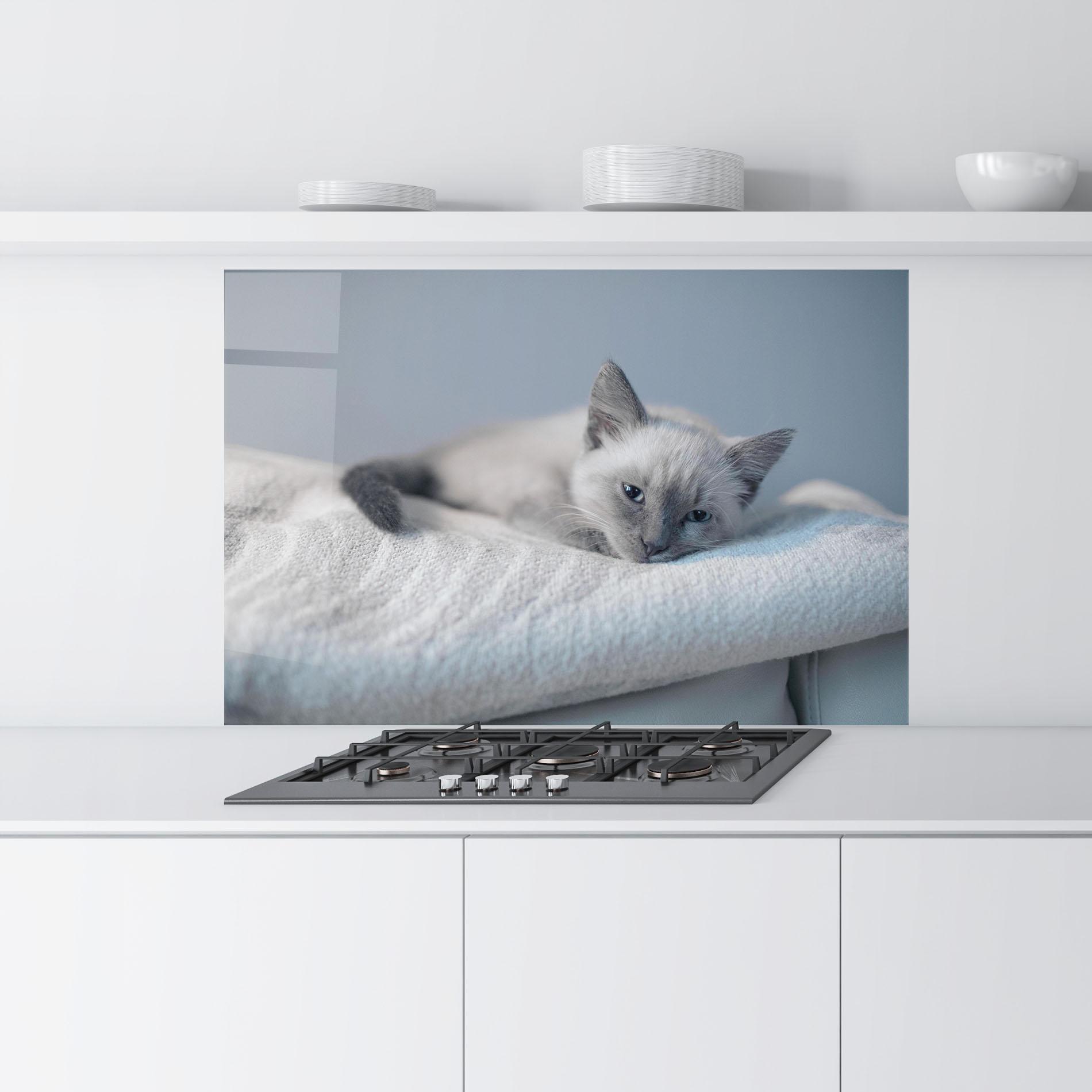 Panou Sticla Bucatarie Sleepy Grey Cat mockup 9