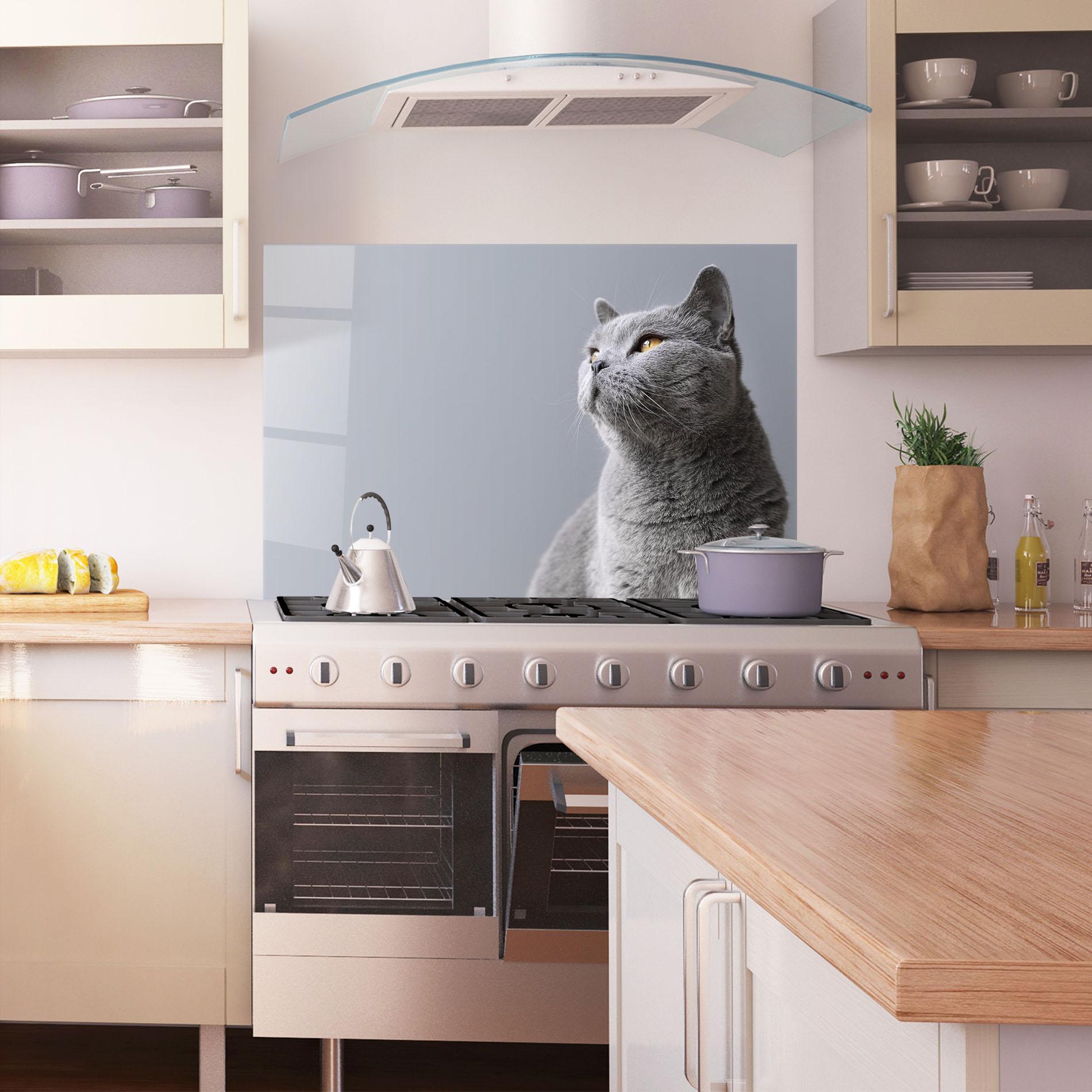 Panou Sticla Bucatarie Gray Kitty mockup 1