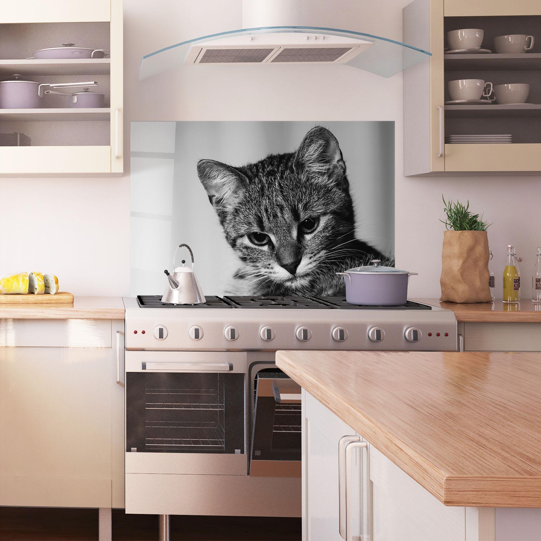 Panou Sticla Bucatarie Grey Focused Cat mockup 1
