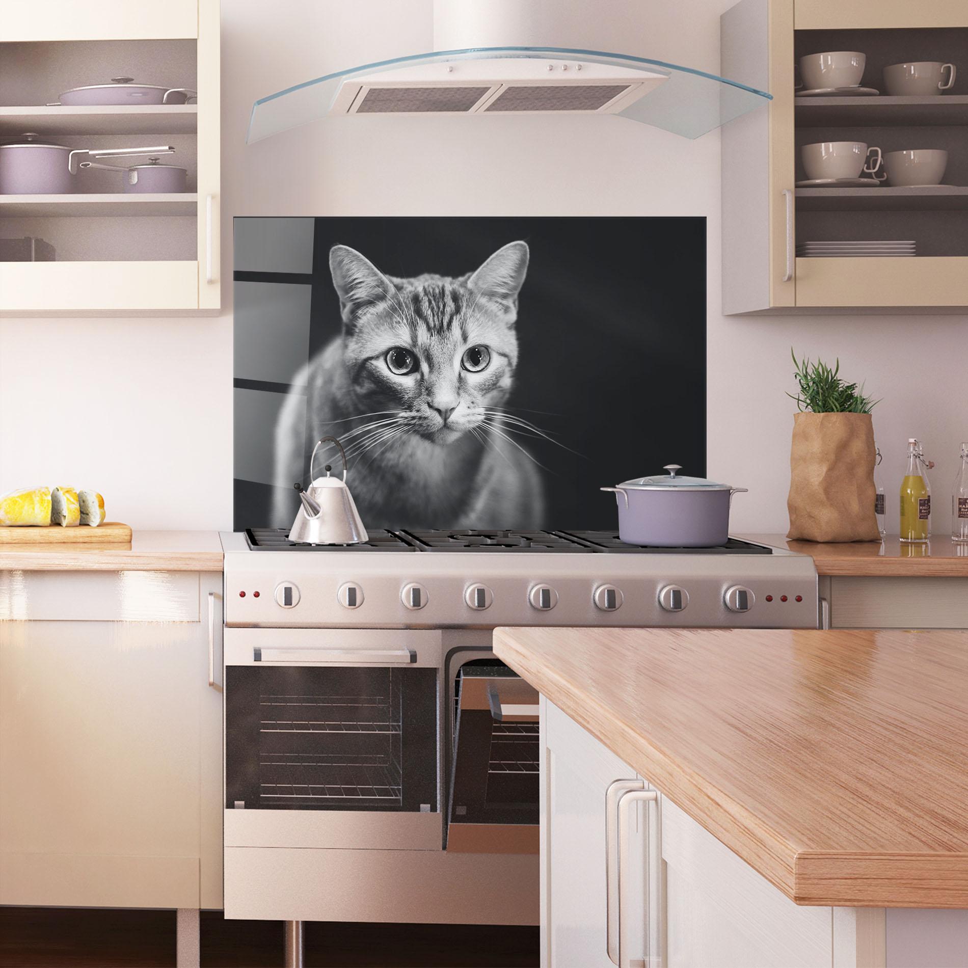 Panou Sticla Bucatarie Grey Kitty On Black mockup 1